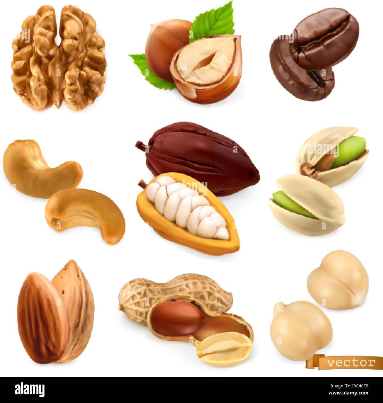 Nuts and beans. Walnut, hazelnut, coffee, cashew, cocoa, pistachio