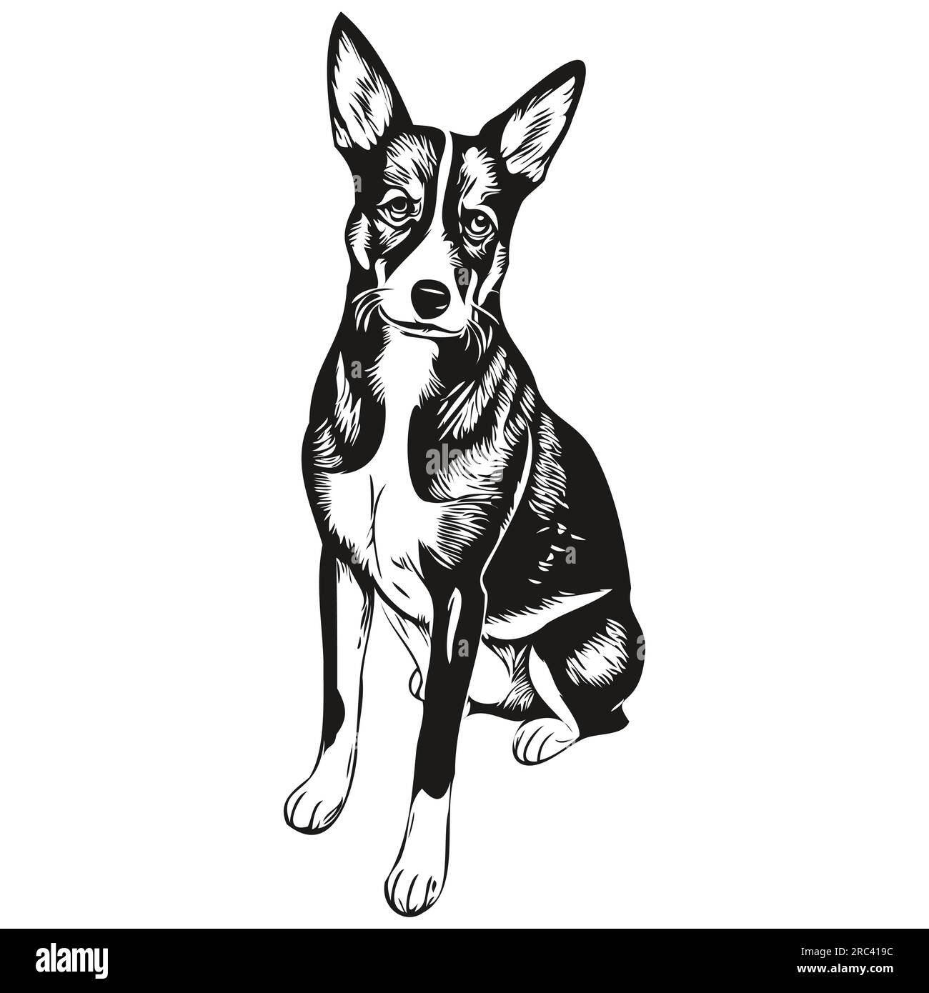 Basenji Breed Stock Vector Images Alamy basenji-breed-stock-vector-images-alamy