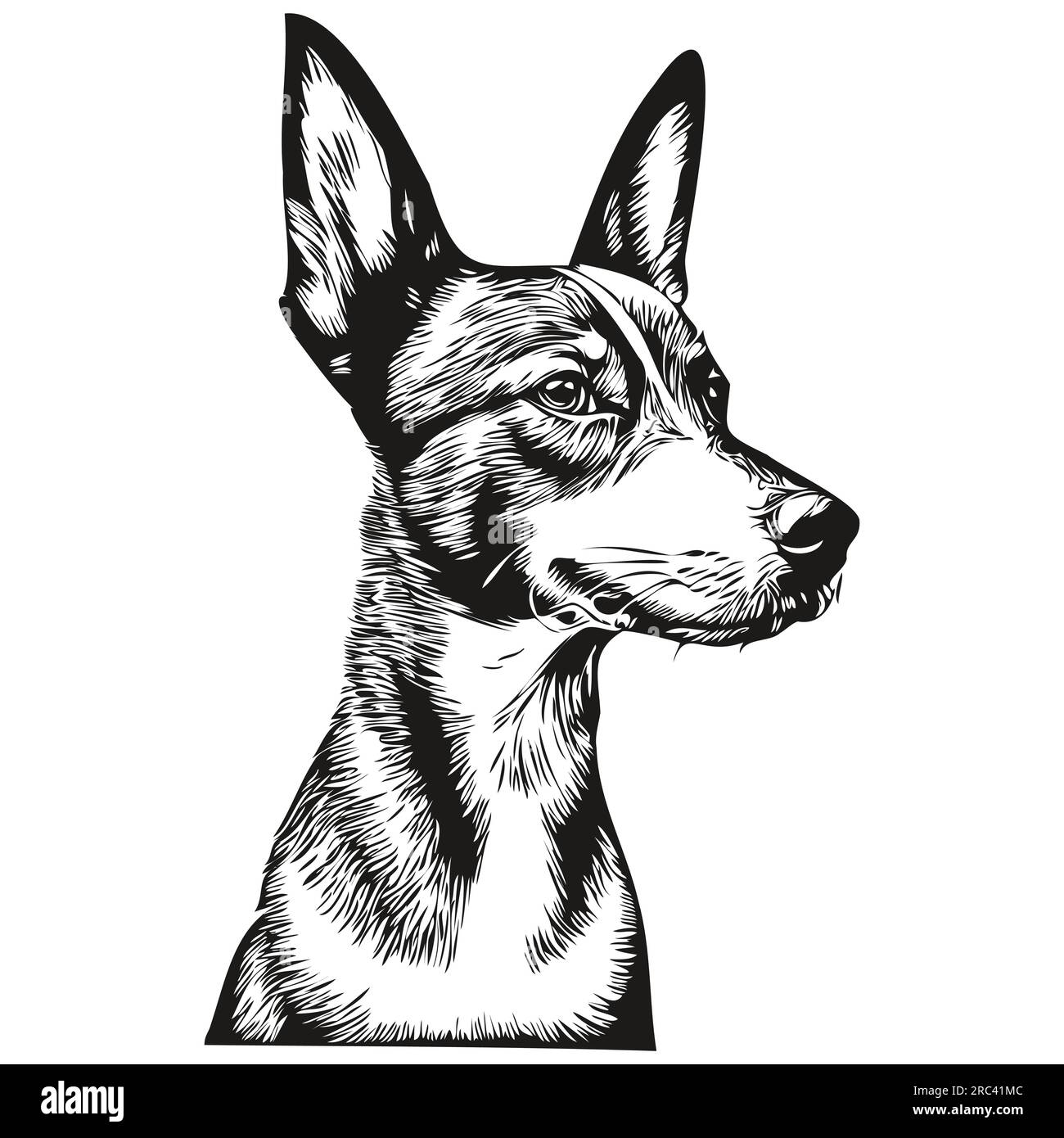 Basenji dog head line drawing vector,hand drawn illustration with ...