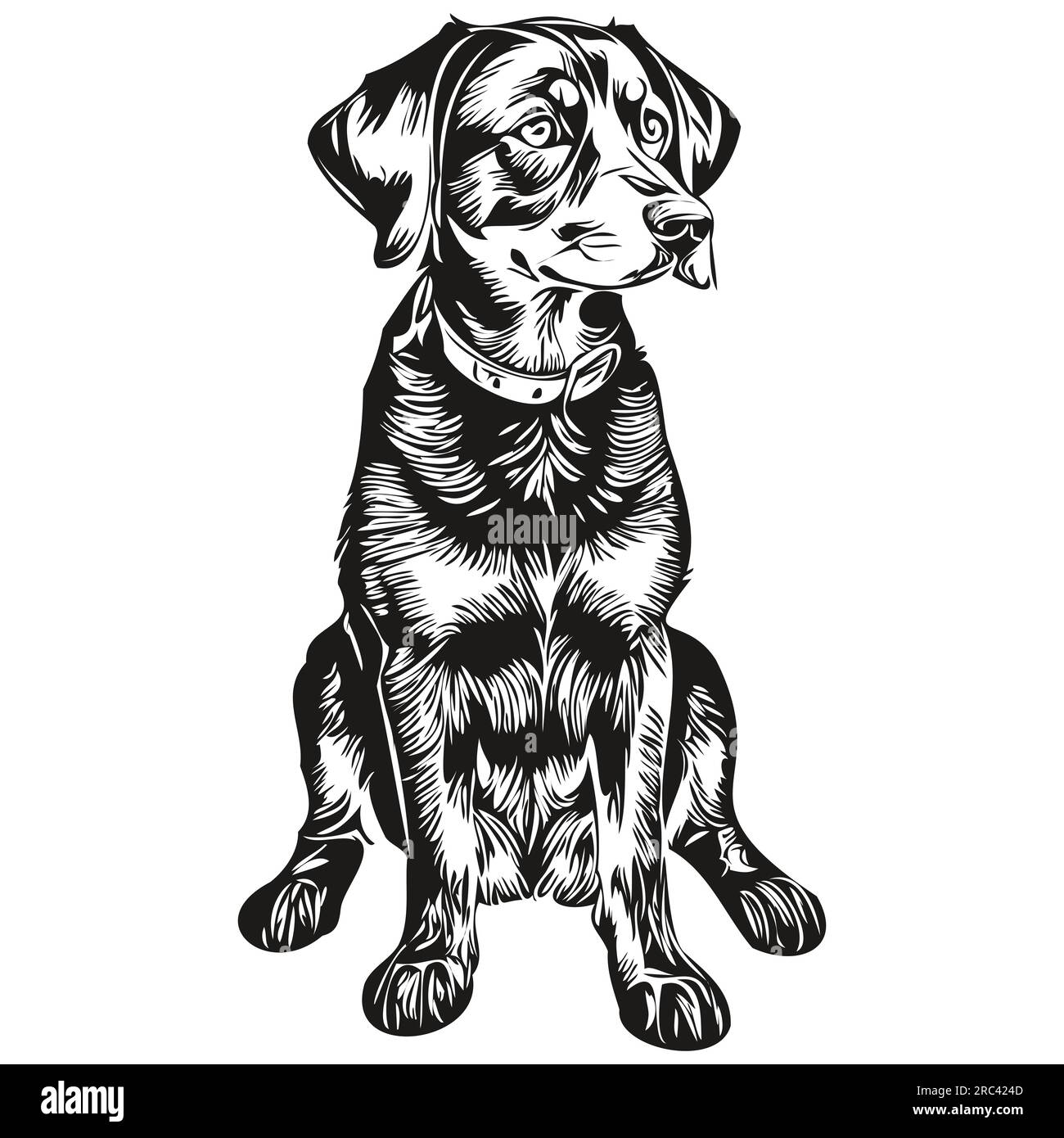 Black and Tan Coonhound dog black drawing vector, isolated face