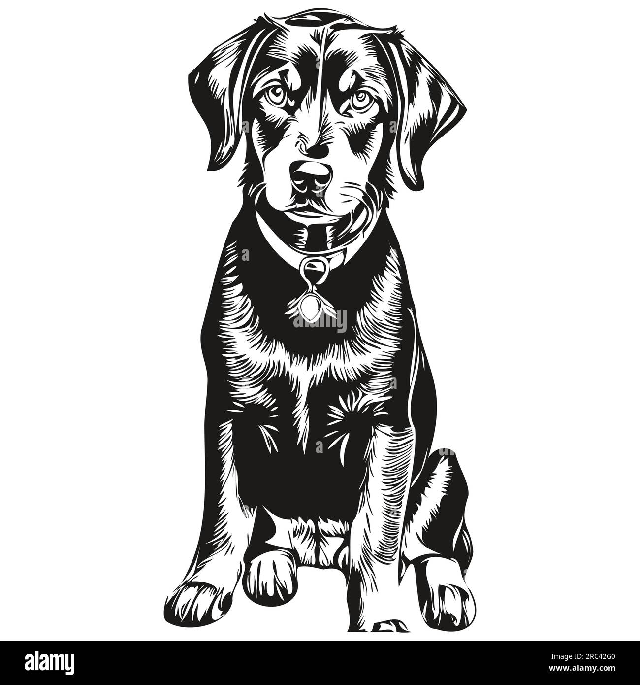 Black and Tan Coonhound dog logo vector black and white, vintage cute dog head engraved Stock Vector