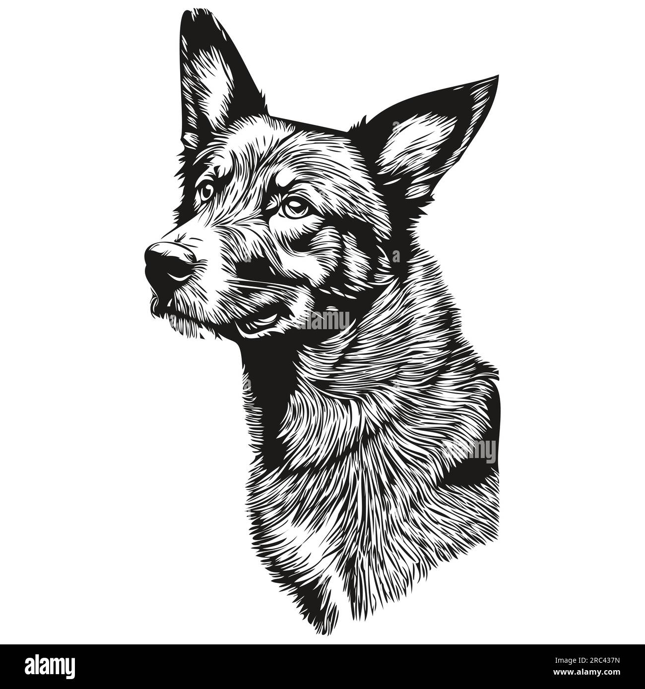 Beauceron dog black drawing vector, isolated face painting sketch line ...