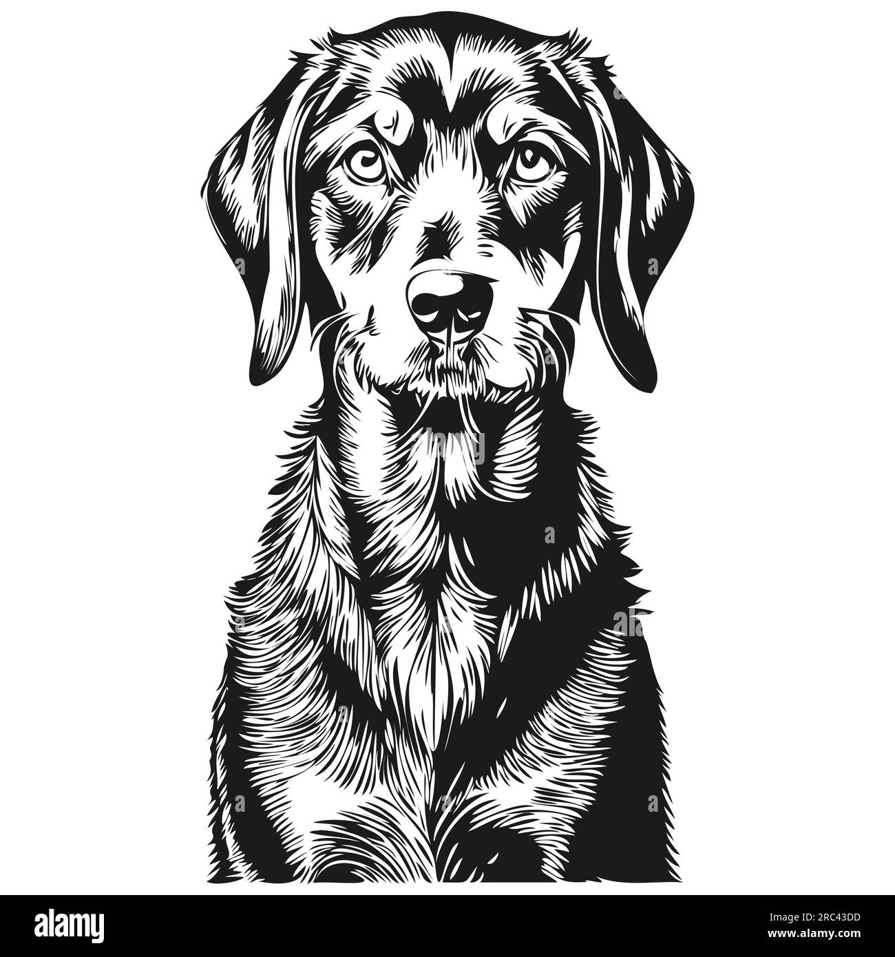 Black and Tan Coonhound dog logo vector black and white, vintage cute