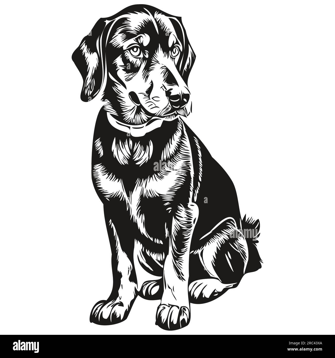 Black and Tan Coonhound dog t shirt print black and white, cute funny outline drawing vector Stock Vector