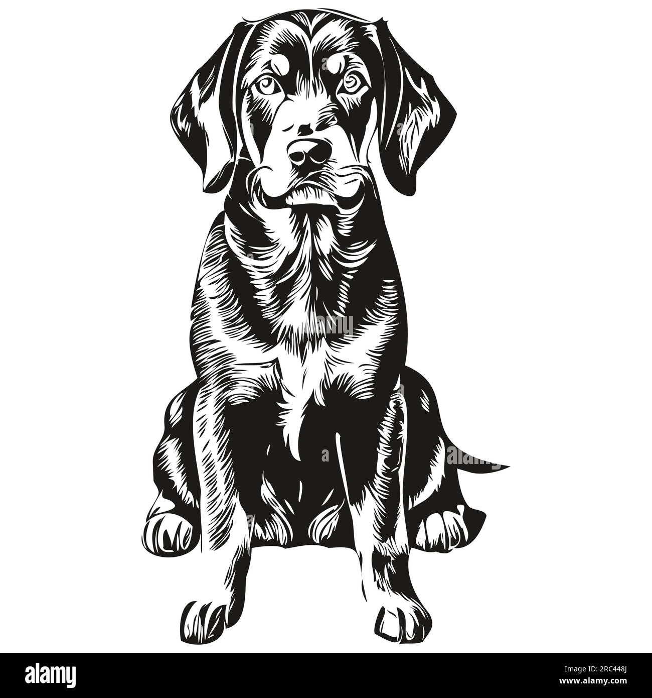 Black and Tan Coonhound dog face vector portrait, funny outline pet