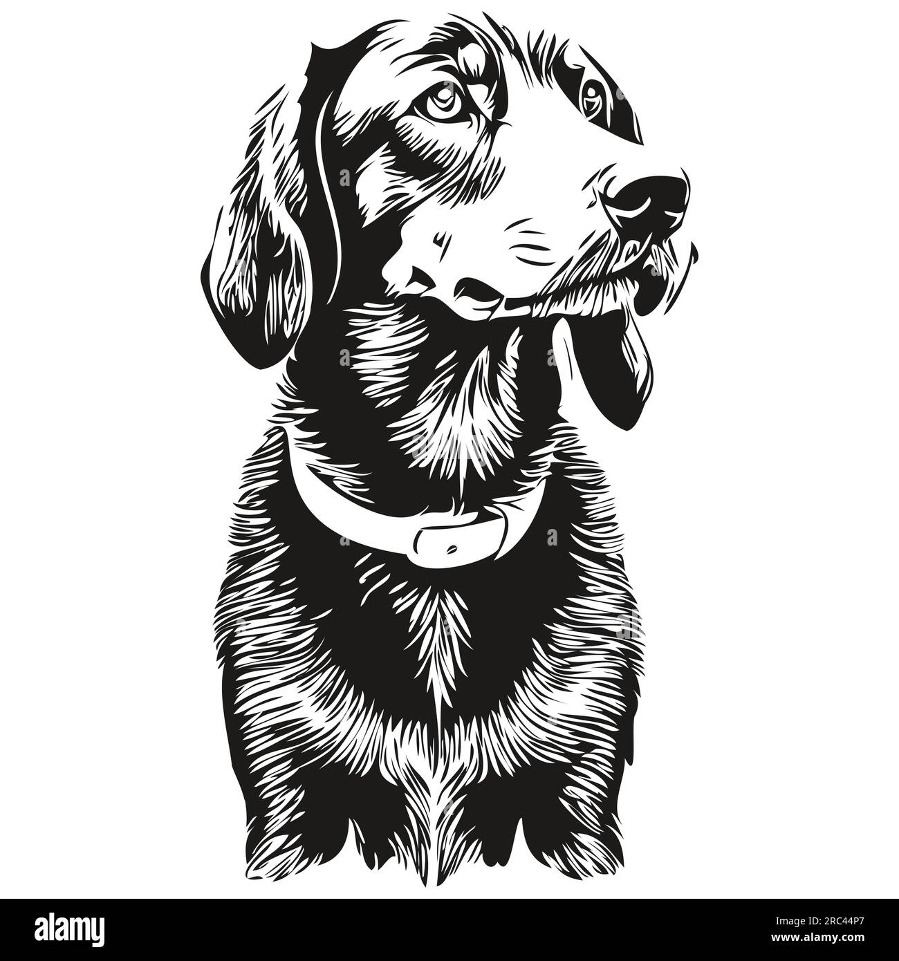 Black and Tan Coonhound dog pet sketch illustration, black and white engraving vector Stock Vector