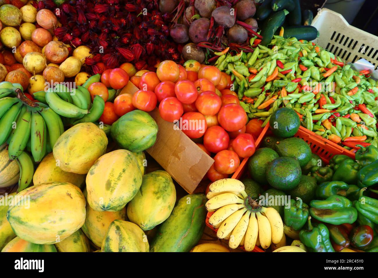 Guadeloupe Fruit And Vegetable Market In Pointe A Pitre Biggest City guadeloupe-fruit-and-vegetable-market-in-pointe-a-pitre-biggest-city