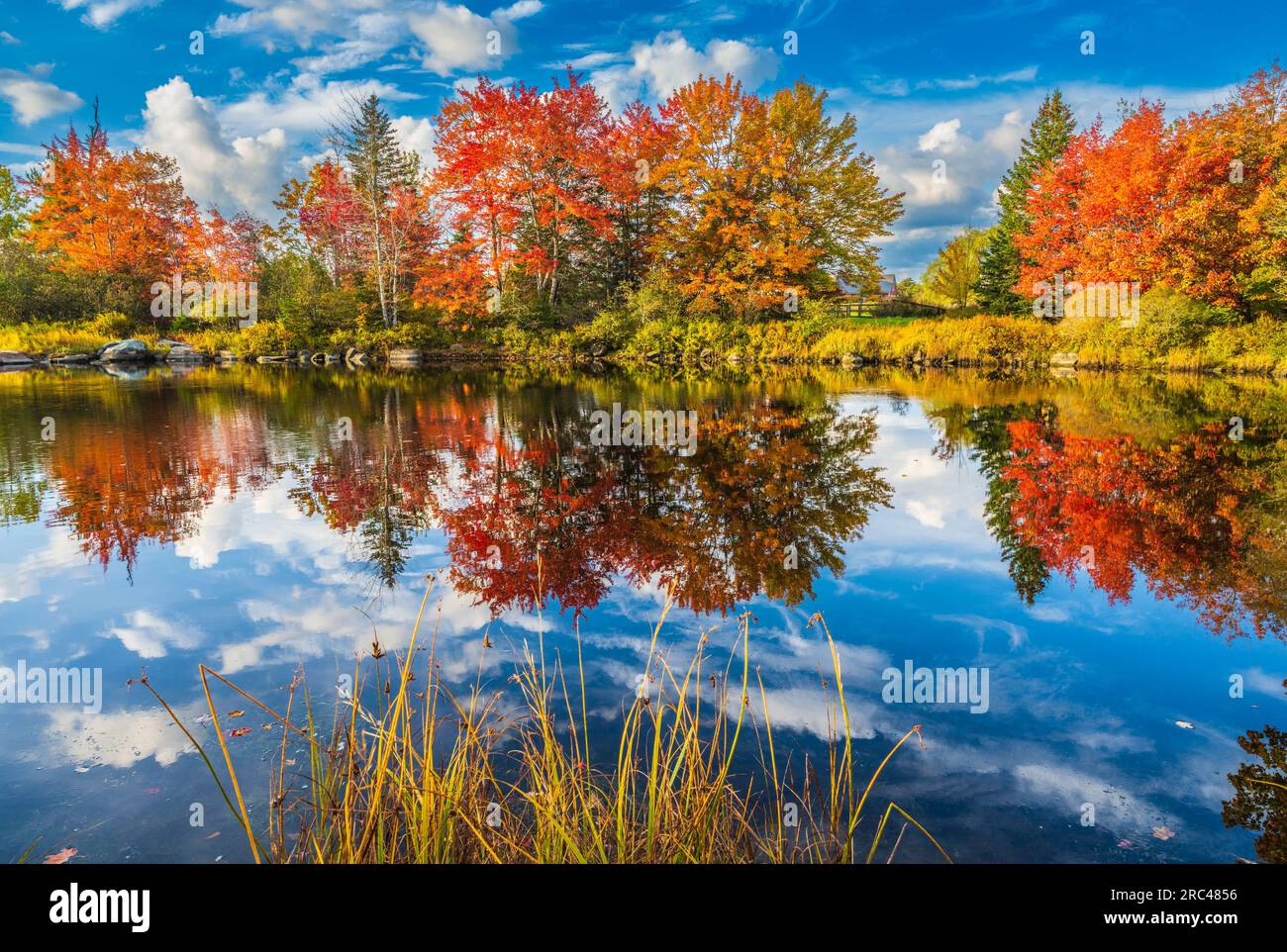 Autumn color in Mount Desert Island in Maine. Stock Photo