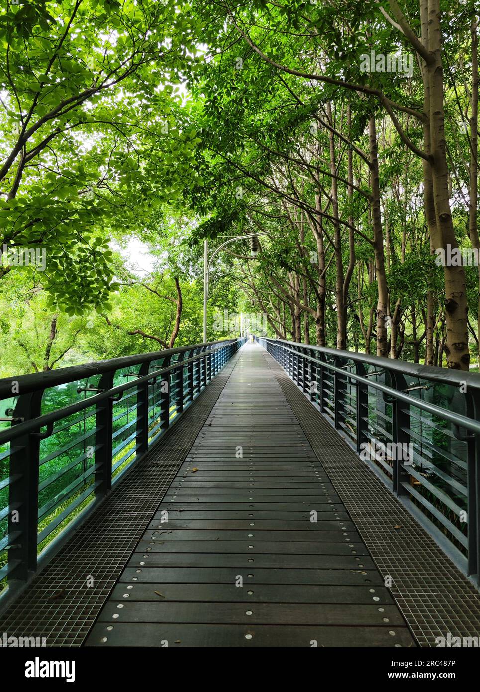 Elevated walkway at Xujiahui Park  in Xuhui District, Shanghai Stock Photo
