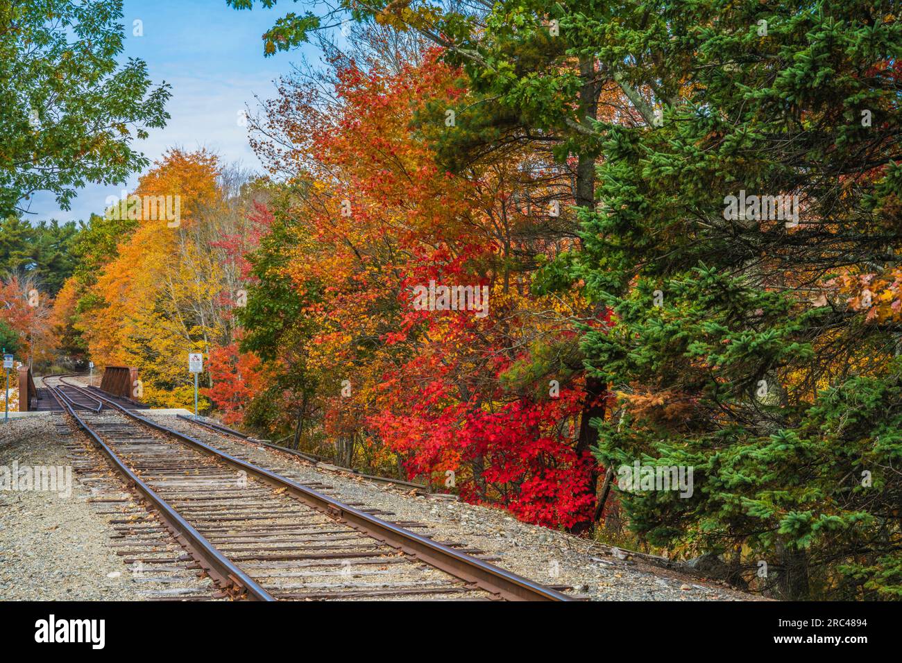 Autumn color in Mount Desert Island in Maine. Stock Photo