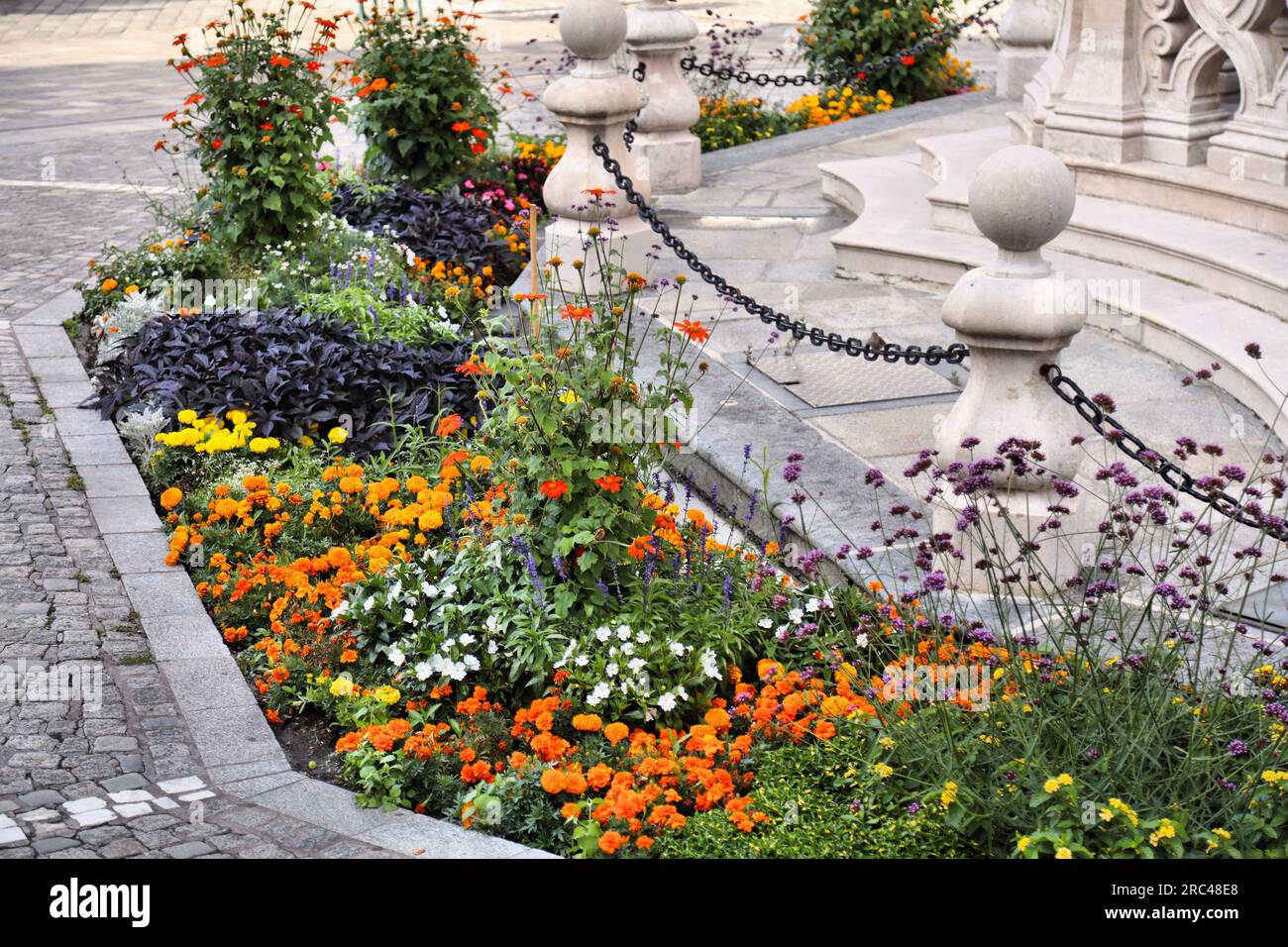 City flowerbed in Linz, Austria. Mixed species flower patch with marigold, purpletop vervain (Verbena bonariensis), Impatiens walleriana and Mexican s Stock Photo