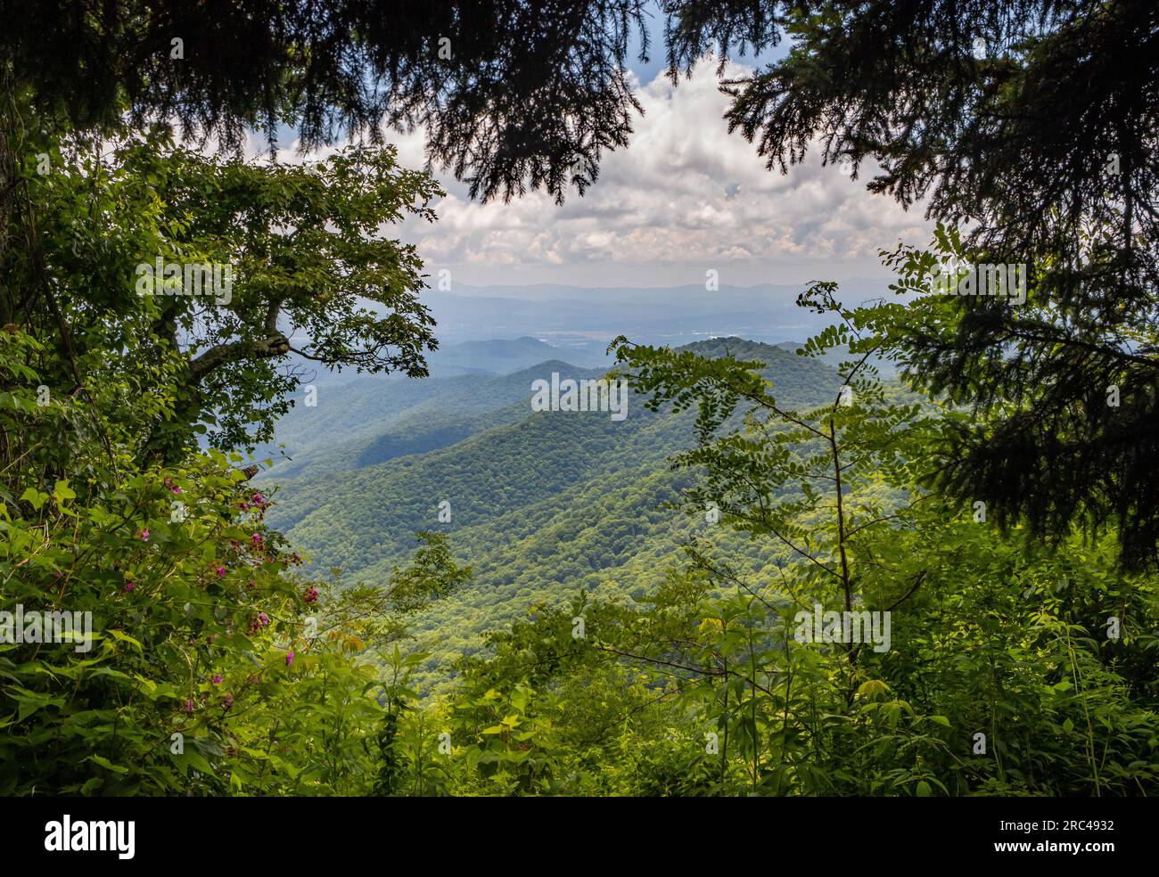 A view of the Blue Ridge Mountains through a frame of foliage. Stock Photo