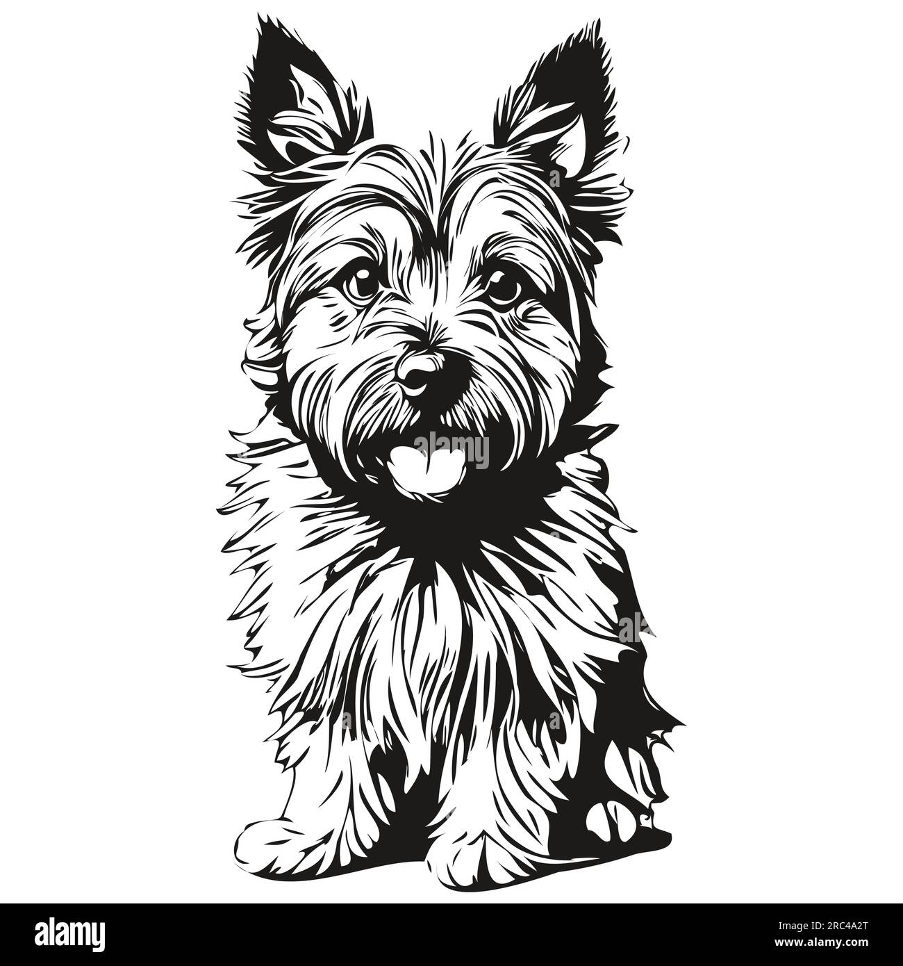 Cairn Terrier dog head line drawing vector,hand drawn illustration with ...