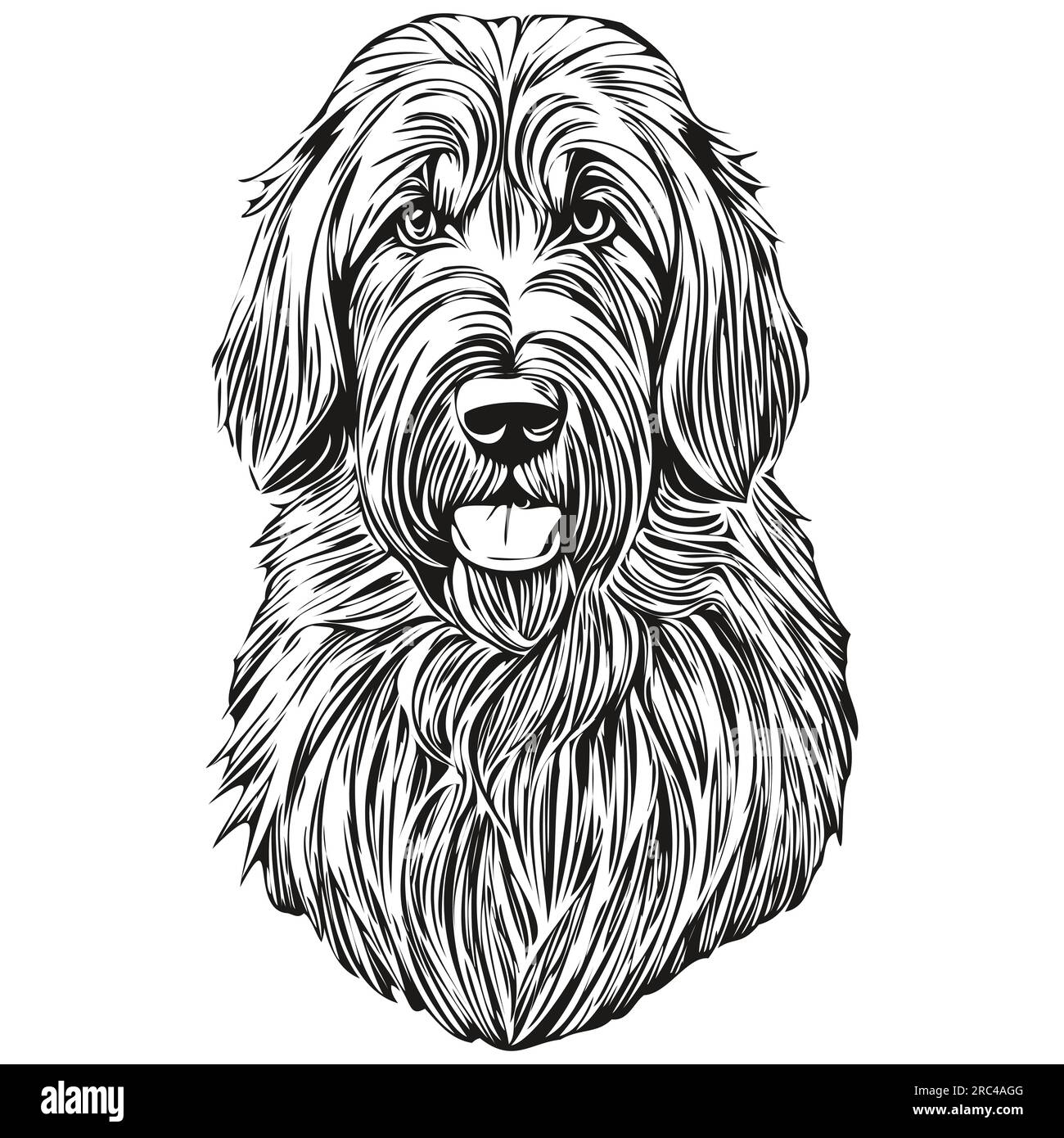 Briard dog head line drawing vector,hand drawn illustration with