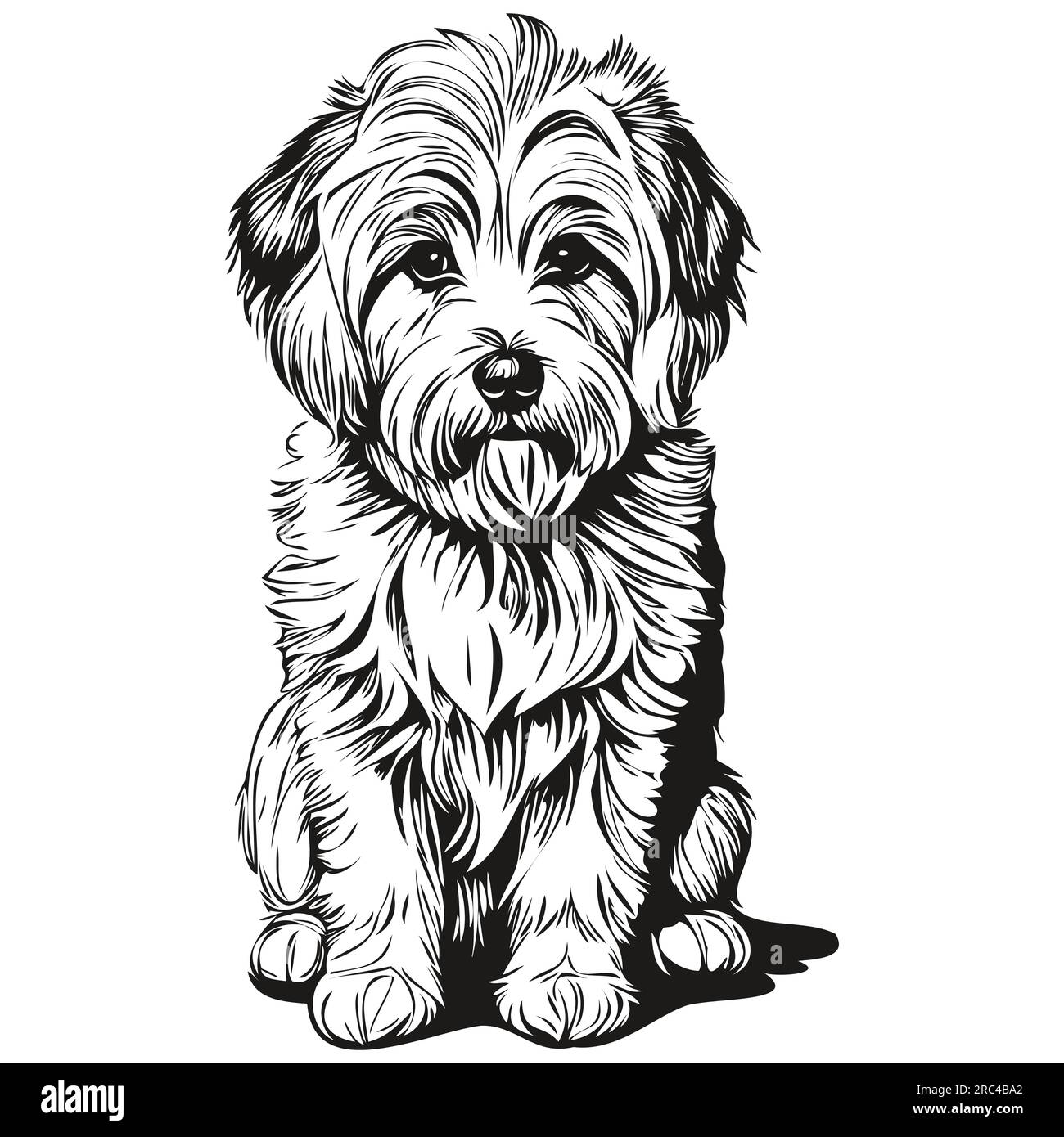 Coton de tulear Stock Vector Images - Alamy