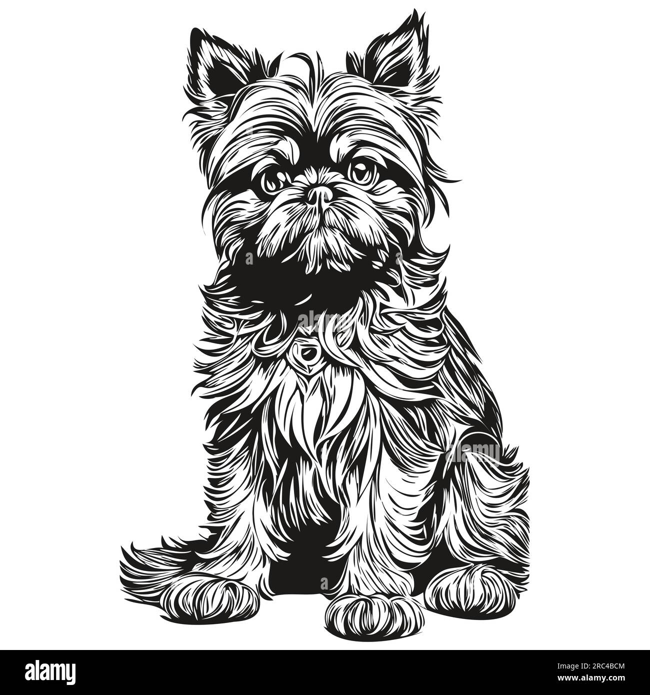 Brussels Griffon dog face vector portrait, funny outline pet illustration white background Stock