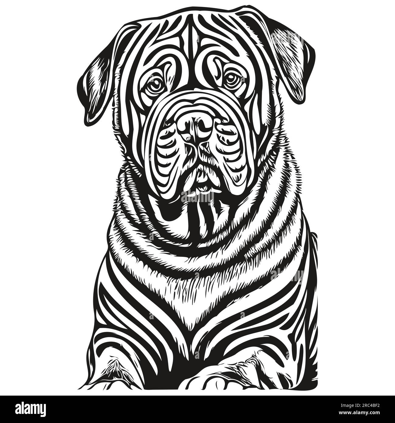 Chinese Shar Pei dog pet sketch illustration, black and white engraving