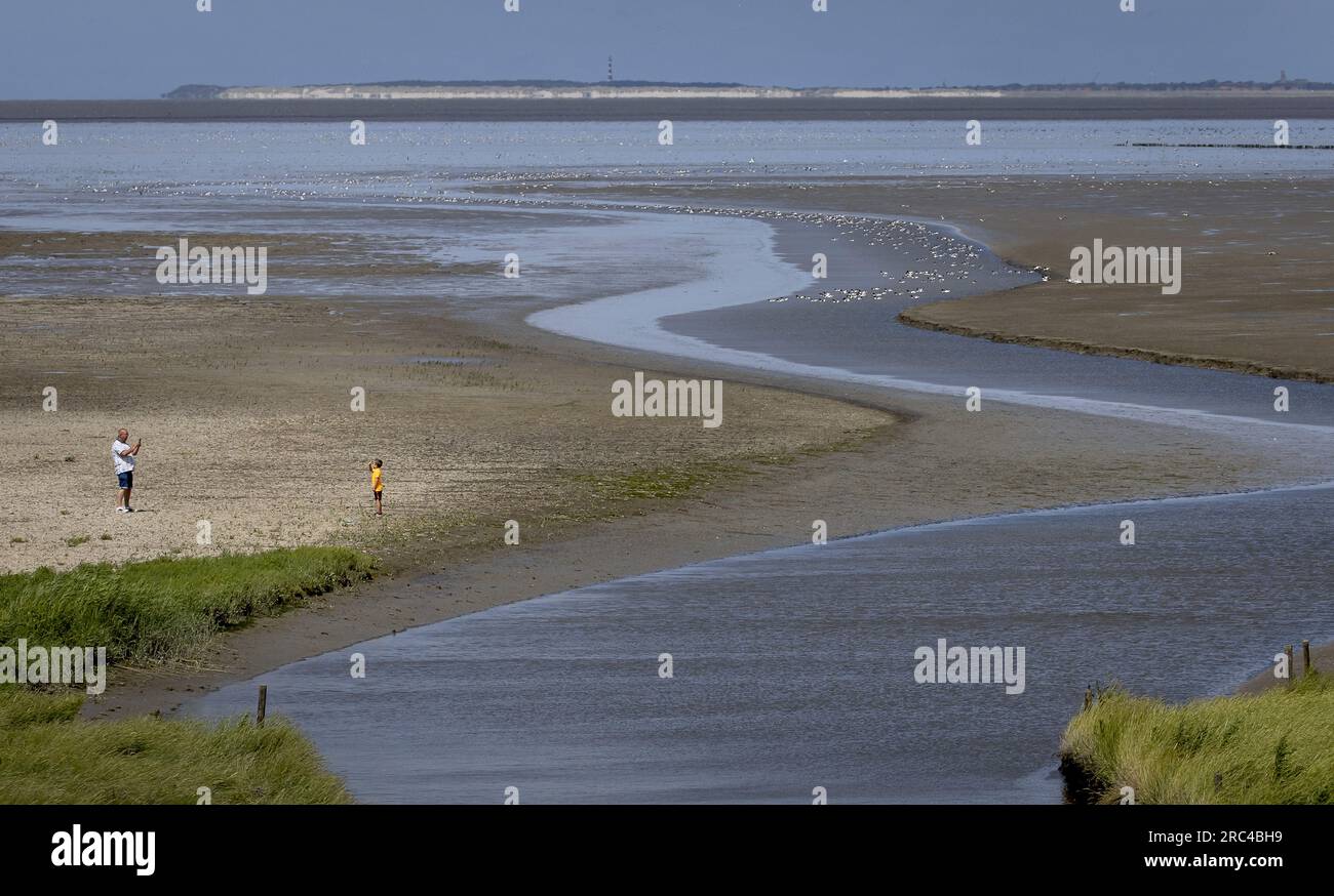 SINT JACOBIPAROCHIE - A salt marsh area for birds in the Wadden area. Wad birds can eat, breed and rest here. ANP KOEN VAN WEEL netherlands out - belgium out Stock Photo