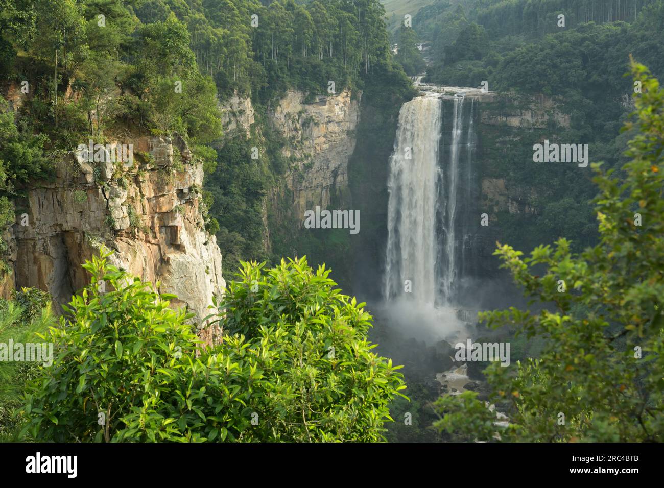 Beautiful landscape, Karkloof waterfall, Howick, KwaZulu-Natal, South Africa, water flowing over cliff, scenic African nature, travel attraction Stock Photo