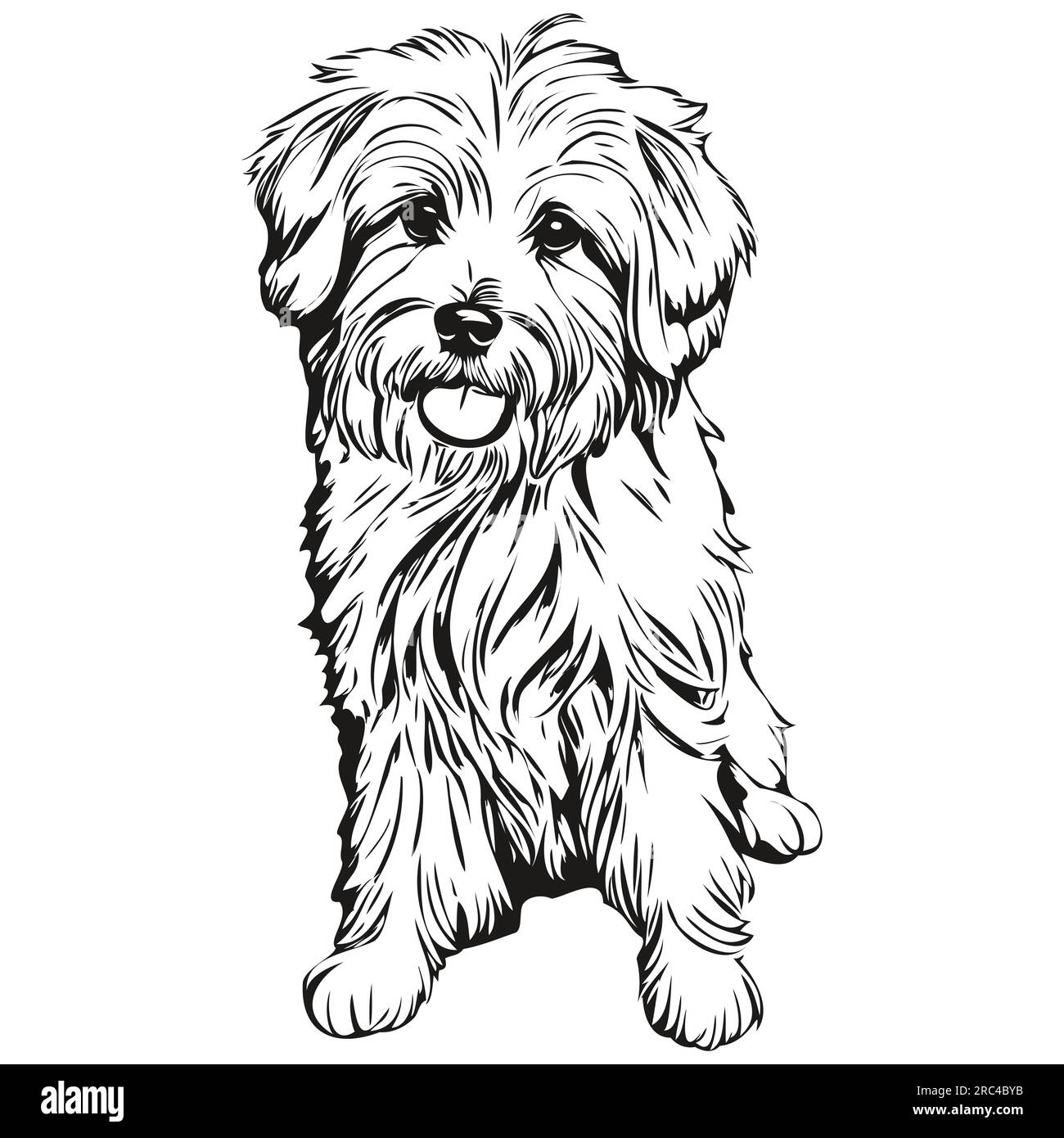 Coton de Tulear dog t shirt print black and white, cute funny outline