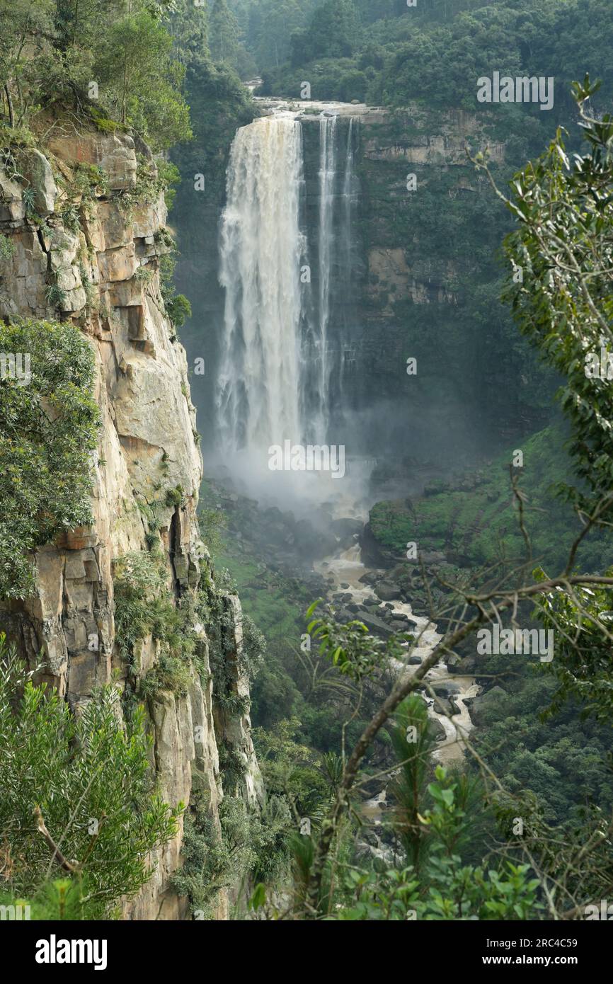 Beautiful landscape, Karkloof waterfall, Howick, KwaZulu-Natal, South Africa, water flowing over cliff, scenic African nature, travel attraction Stock Photo