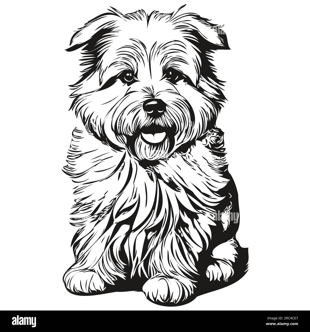 Coton de Tulear dog line illustration, black and white ink sketch face