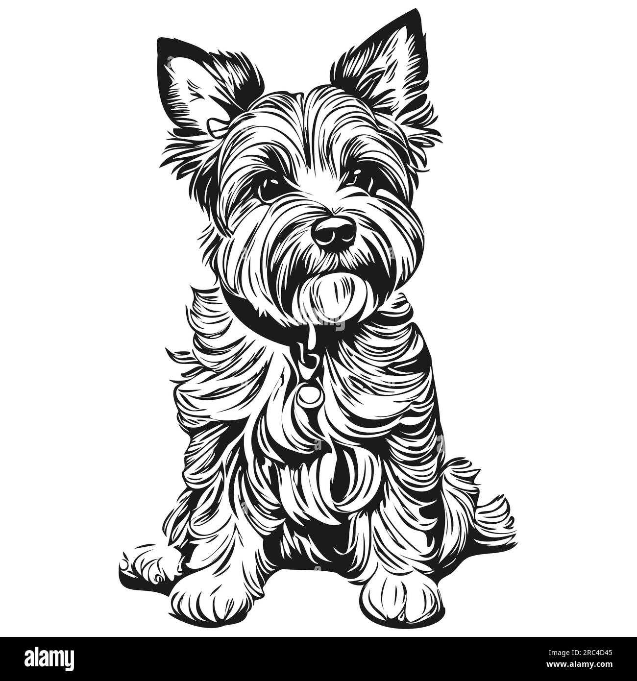 Dandie Dinmont Terriers dog vector face drawing portrait, sketch