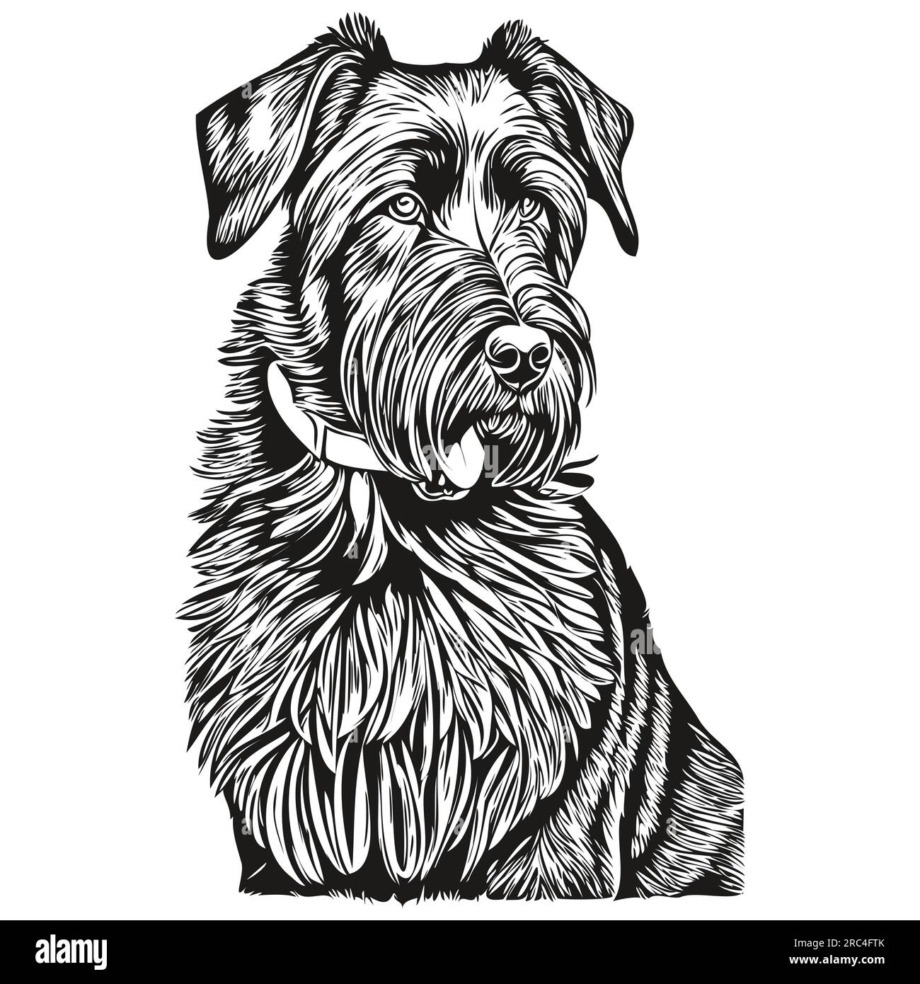 Giant Schnauzer dog breed line drawing, clip art animal hand drawing vector black and white