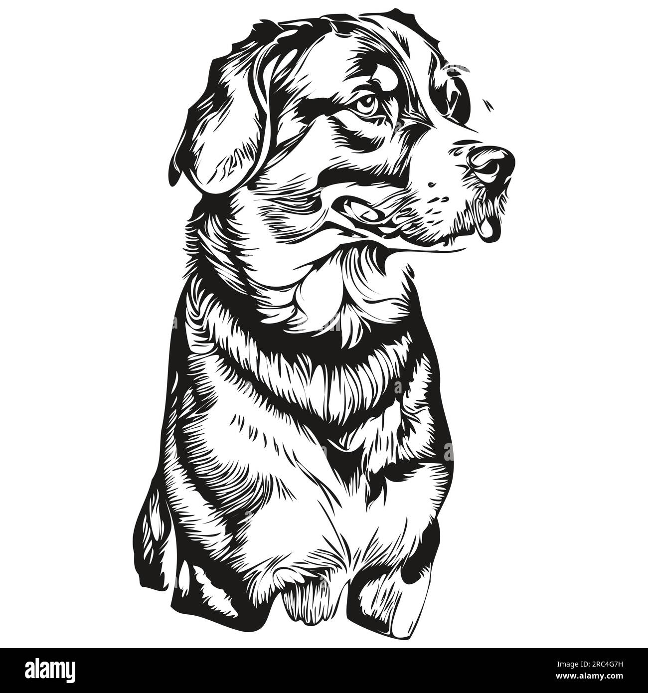 Greater Swiss Mountain dog logo vector black and white, vintage cute