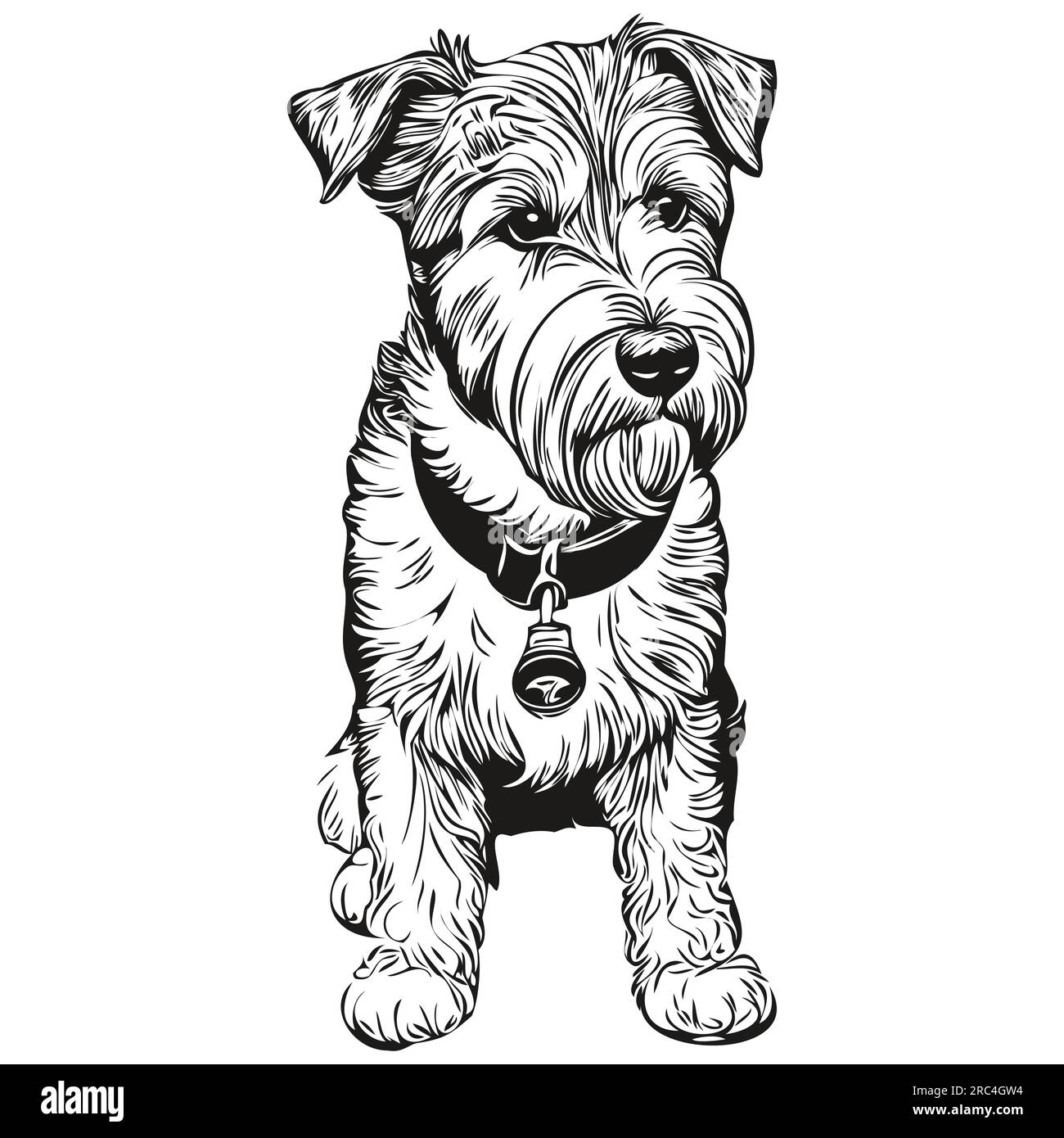 Lakeland Terrier dog head line drawing vector,hand drawn illustration