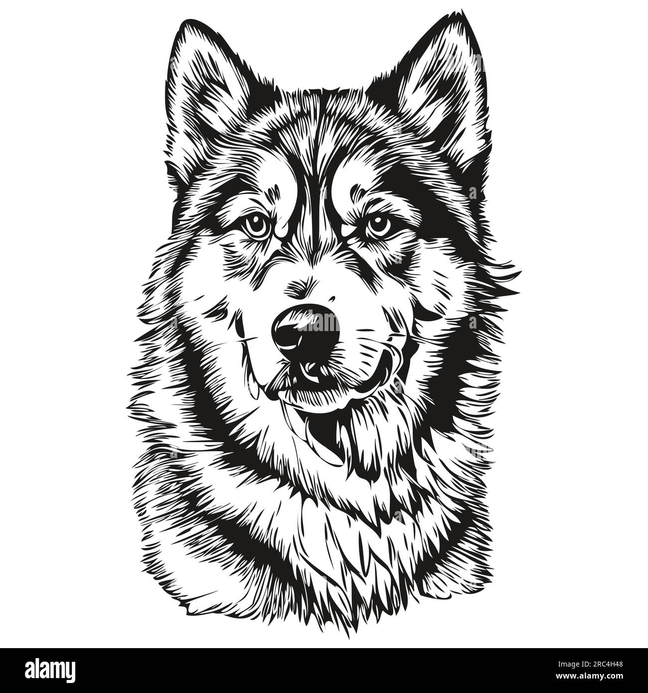 Wolf Face Transparent Background Stock Illustrations – 83 Wolf