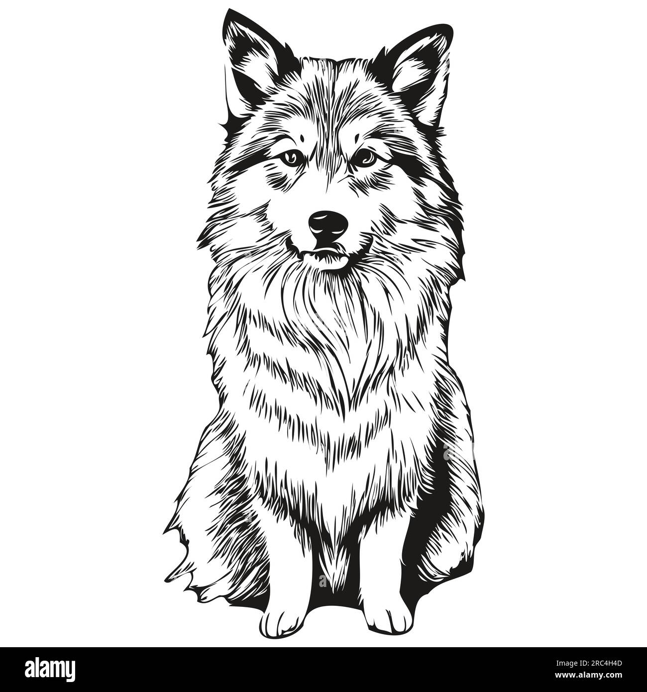 Icelandic Sheepdog Dog Silhouette Pet Character Clip Art Vector Pets