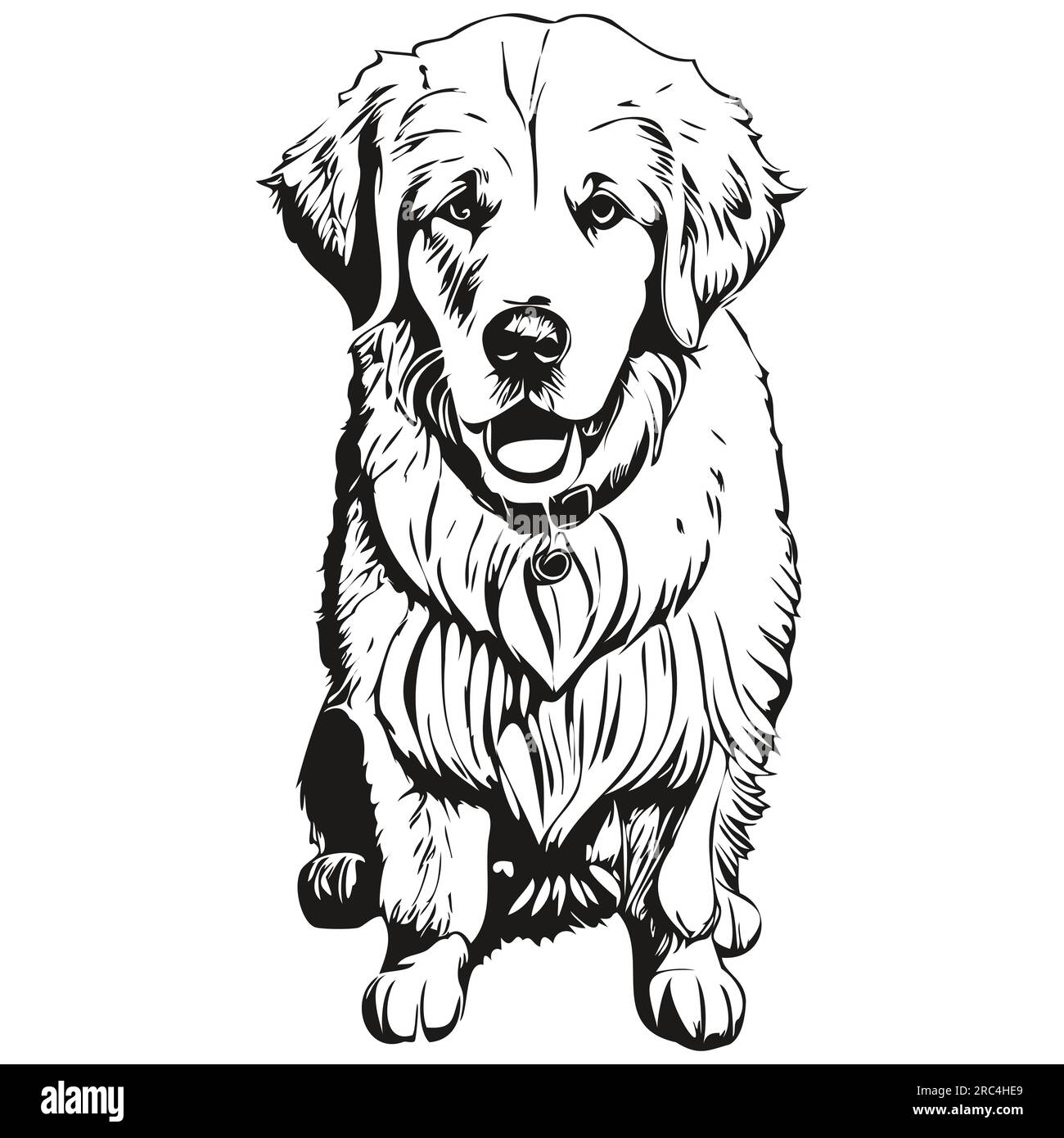 Kuvaszok dog face vector portrait, funny outline pet illustration white background Stock Vector