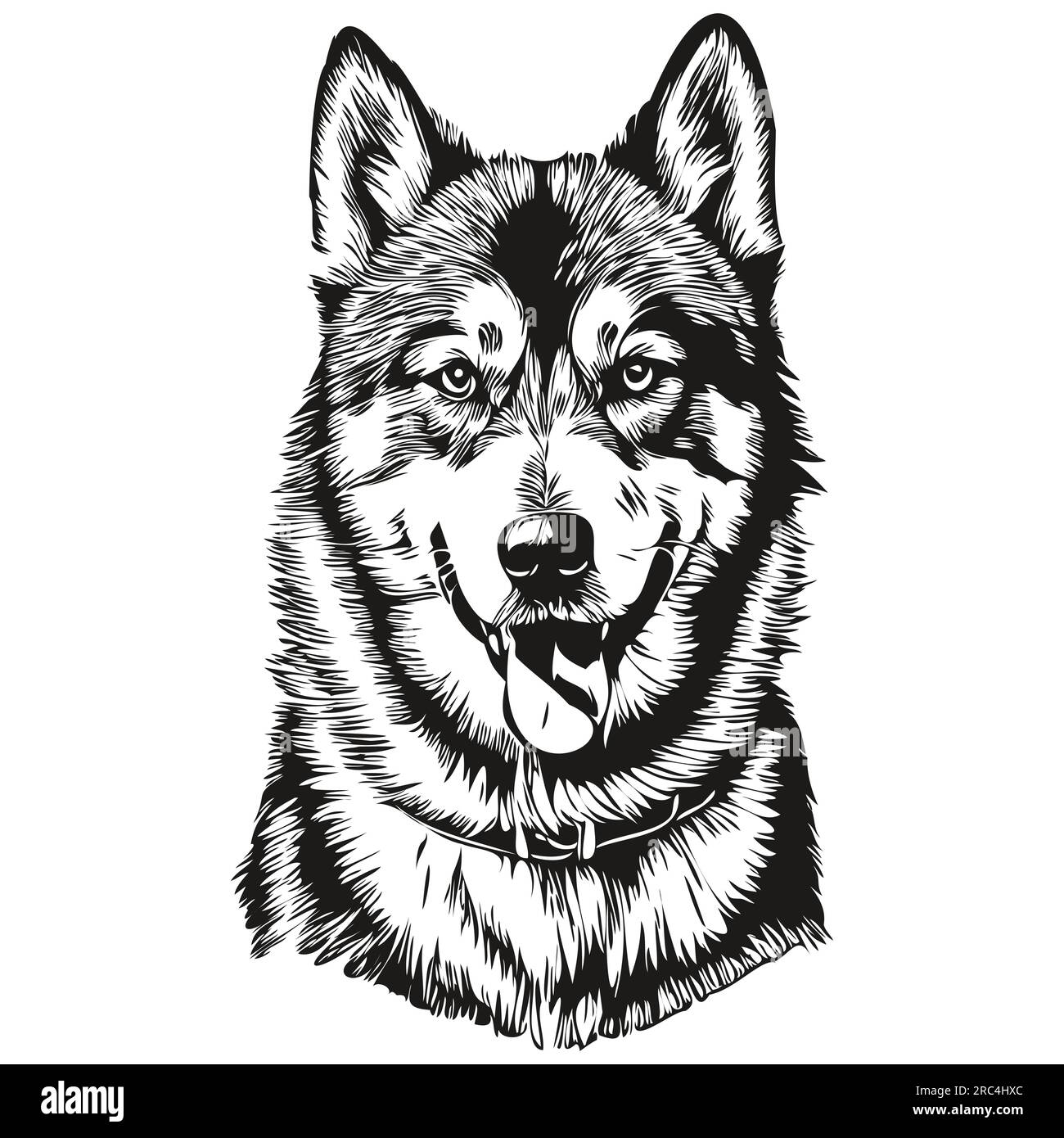 Dog head vector Stock Vector Images - Alamy