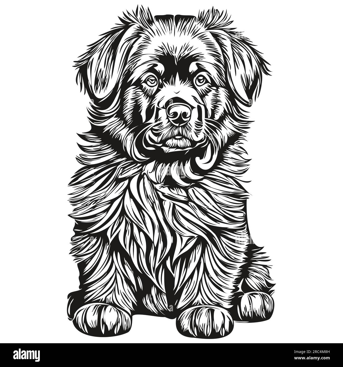 Black and white pencil drawing hi-res stock photography and images - Alamy