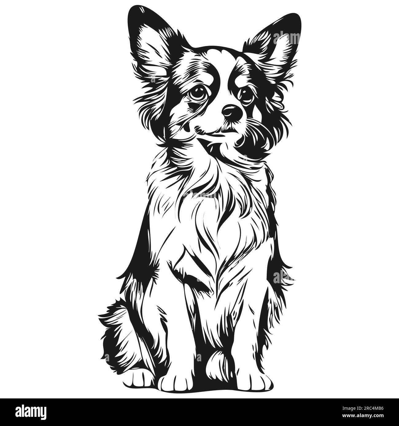 Papillon dog dog face vector portrait, funny outline pet illustration white background Stock