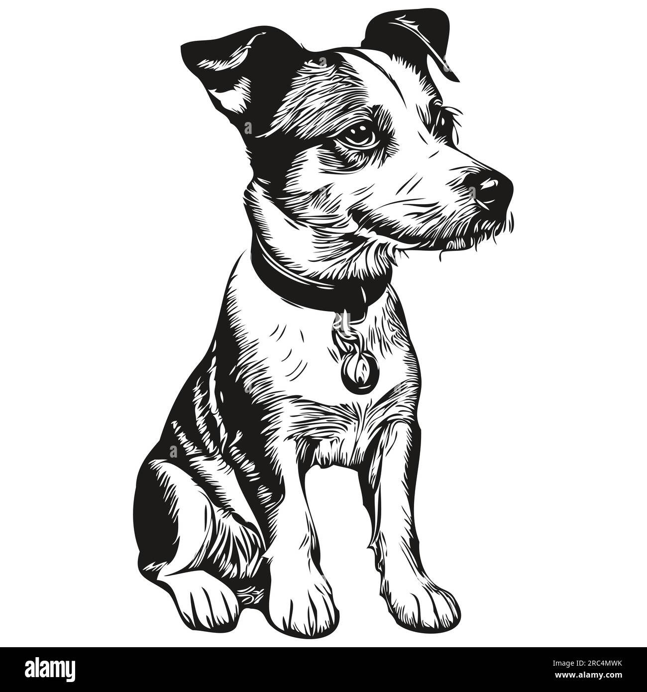 Parson Russell Terrier dog realistic pet illustration, hand drawing