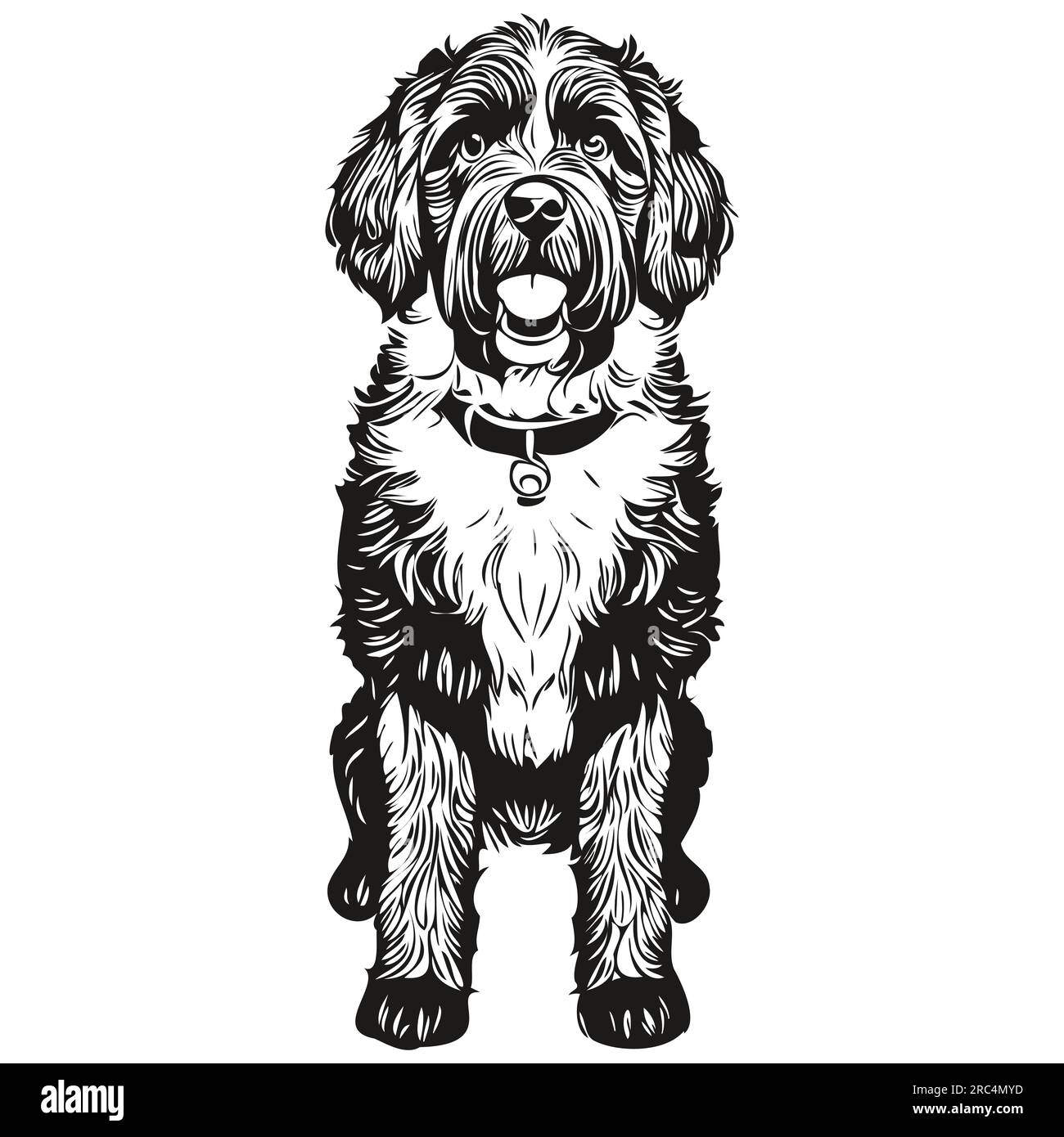 Portuguese Water dog face vector portrait, funny outline pet