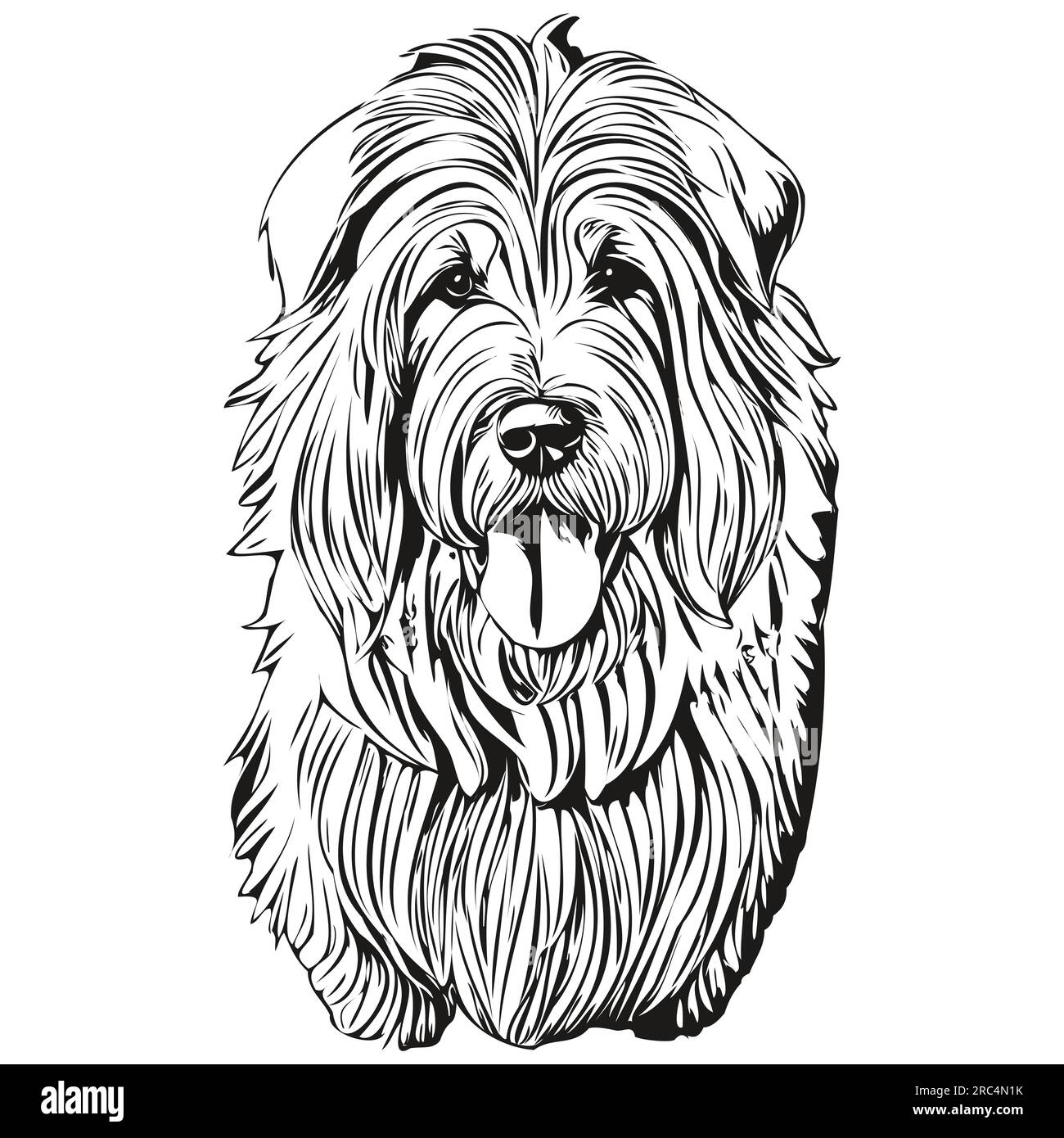 Old English Sheepdog Stock Vector Image & Art - Alamy