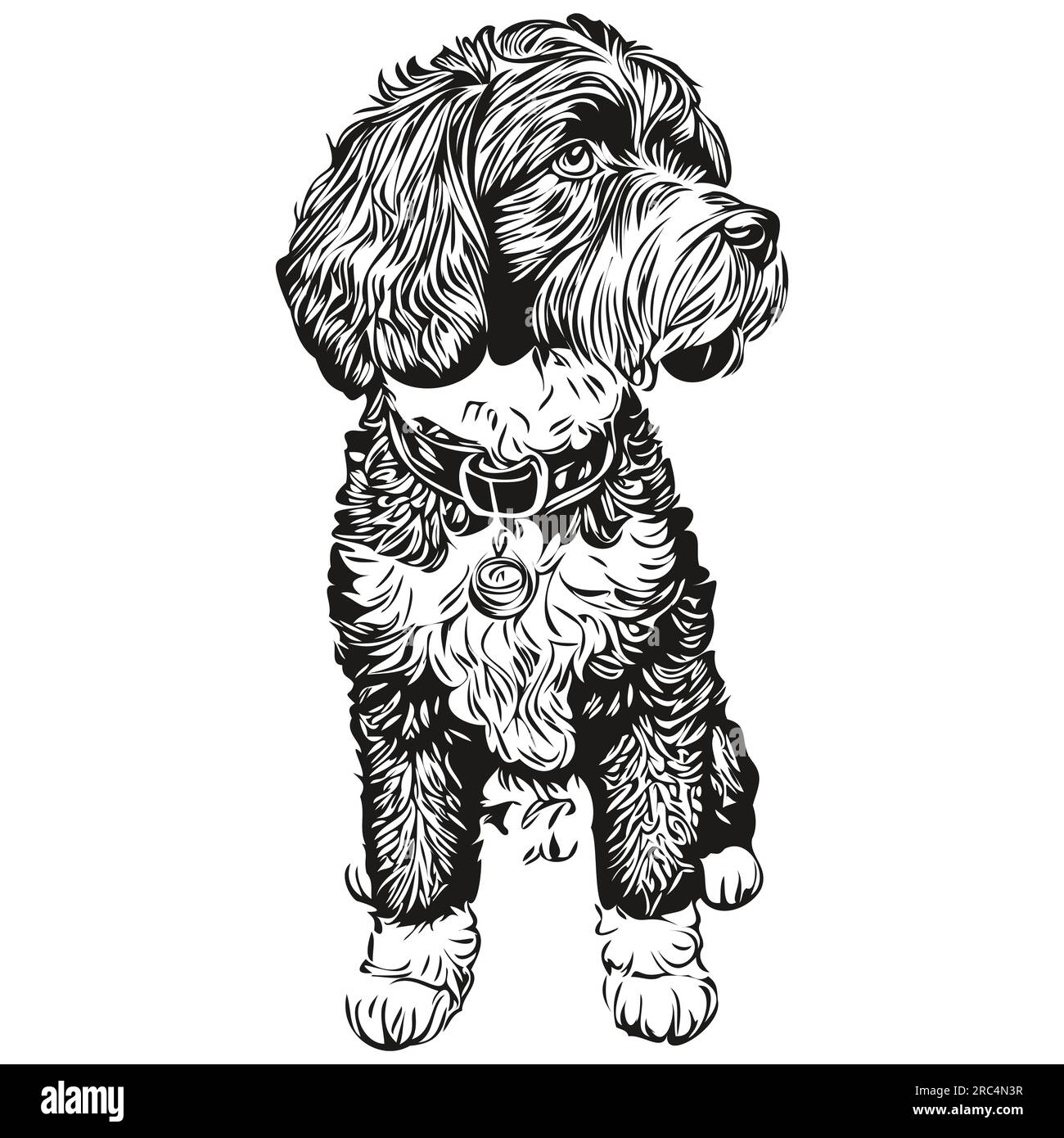 Portuguese Water dog vector face drawing portrait, sketch vintage style