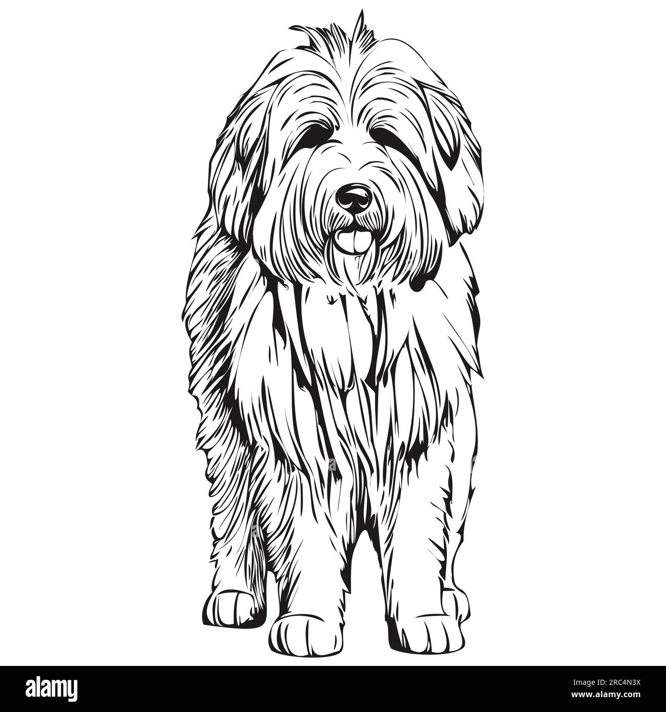 Old English Sheepdog Stock Vector Image & Art - Alamy