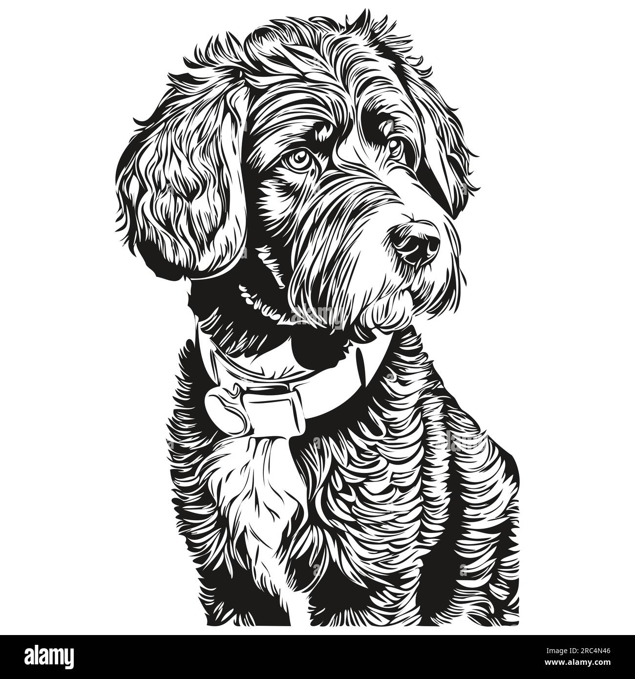 Portuguese Water dog pet silhouette, animal line illustration hand