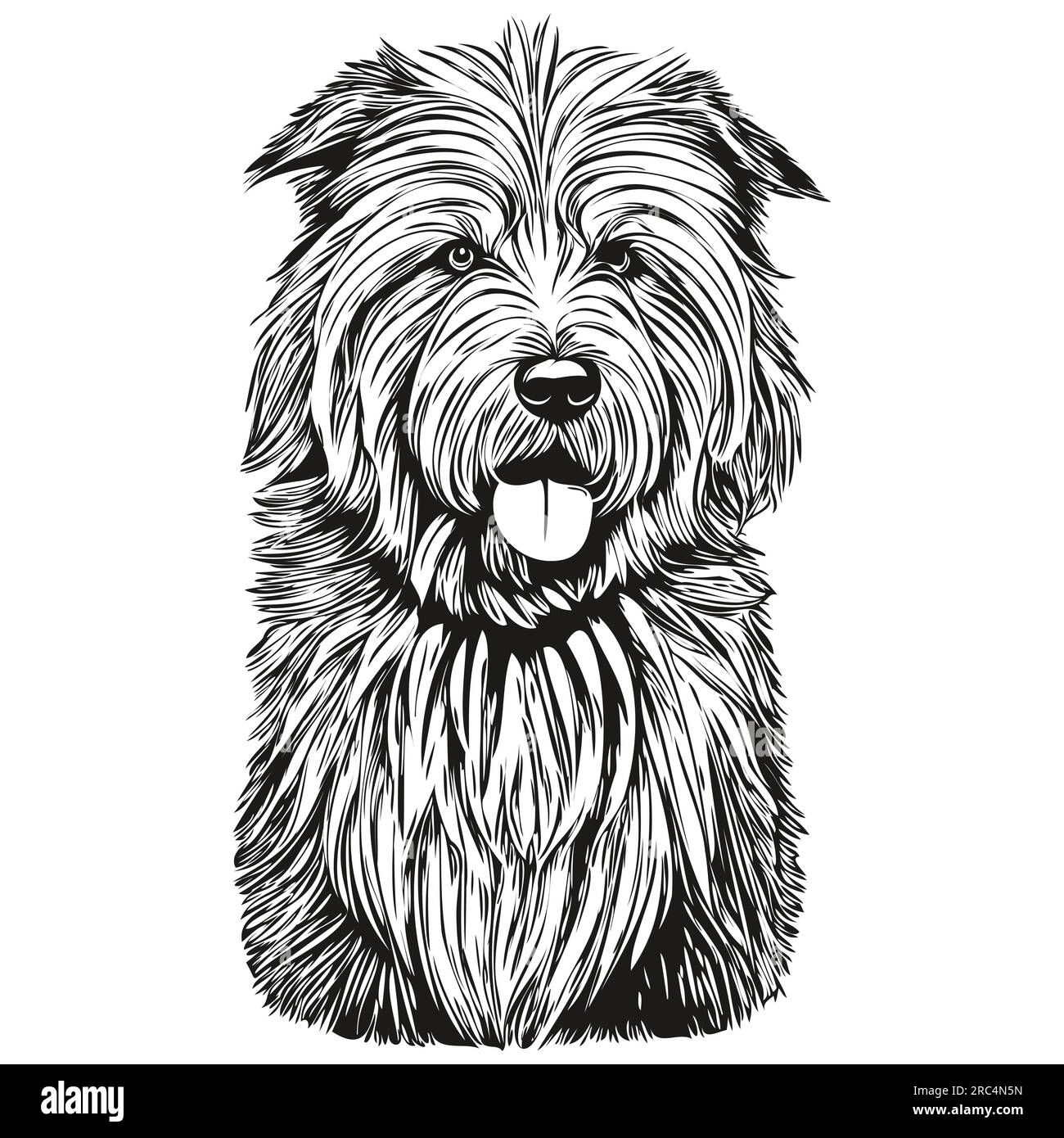 Old English Sheepdog Stock Vector Image & Art - Alamy