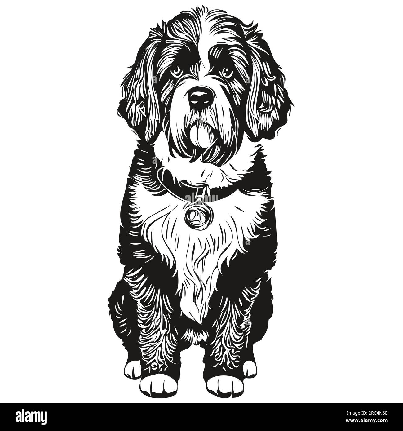 Portuguese Water dog vector face drawing portrait, sketch vintage style