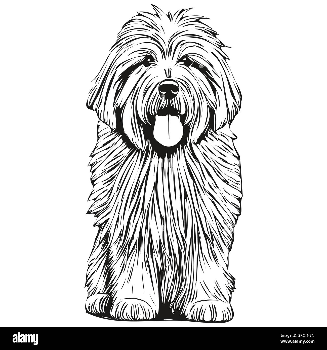 Old English Sheepdog Stock Vector Image & Art - Alamy