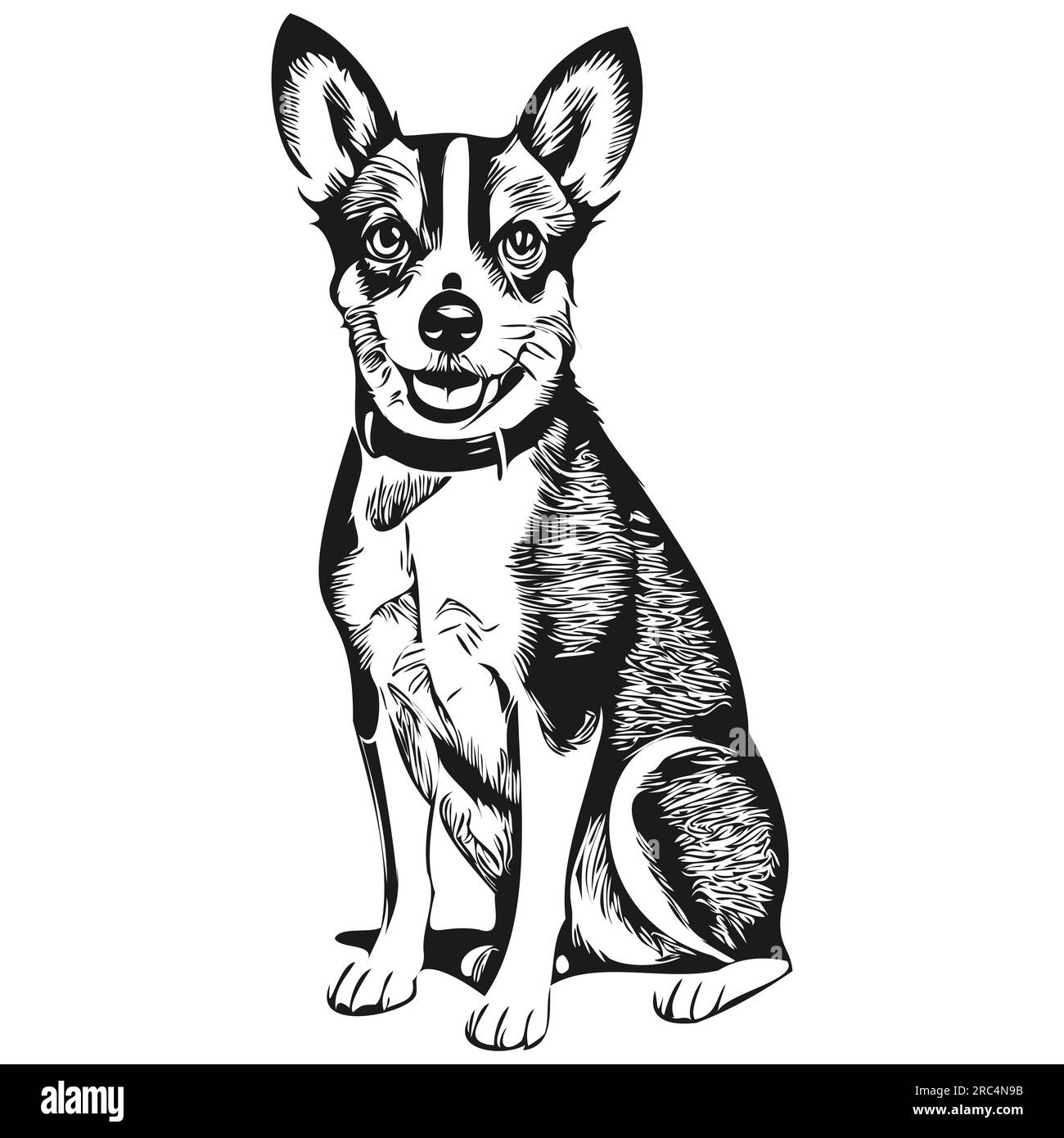 Rat Terrier dog line illustration, black and white ink sketch face