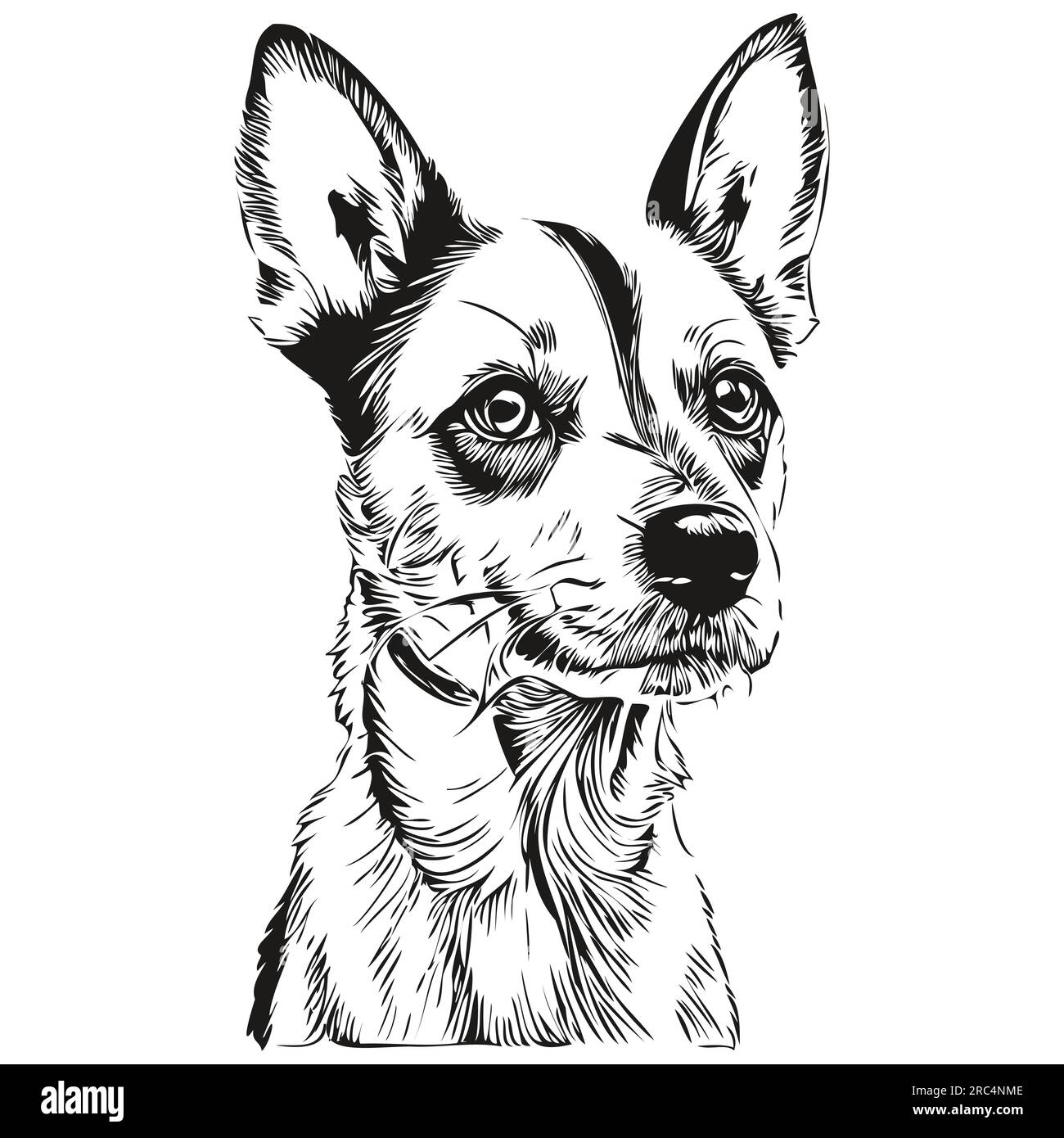 Rat Terrier dog silhouette pet character, clip art vector pets drawing ...