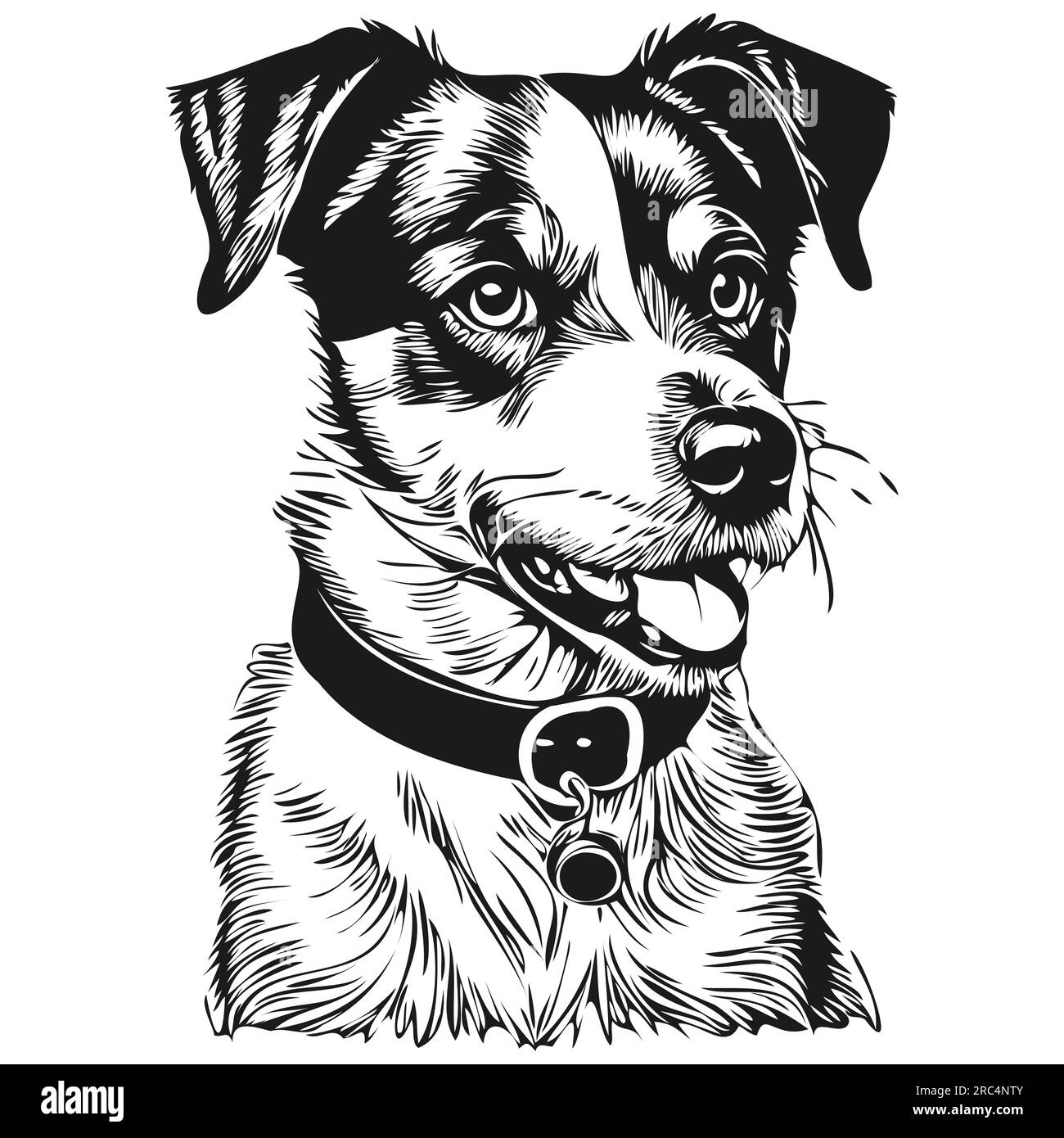 Parson Russell Terrier dog ink sketch drawing, vintage tattoo or t