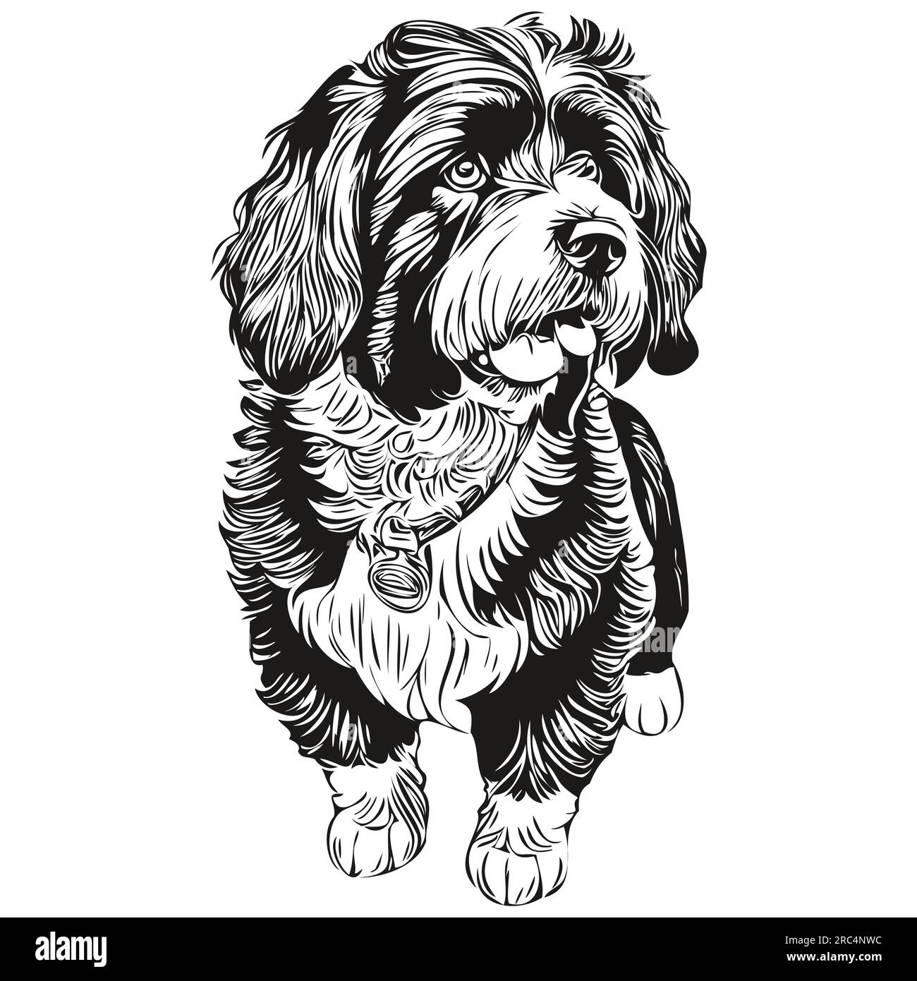 Portuguese Water dog engraved vector portrait, face cartoon vintage