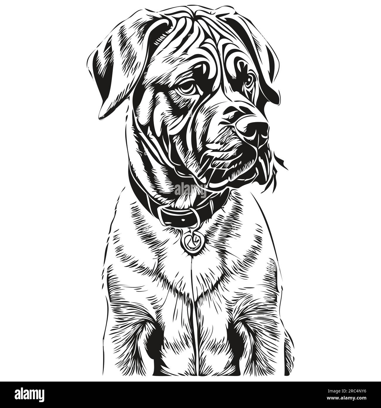 Pet portrait painting hi res stock photography and images Page 3